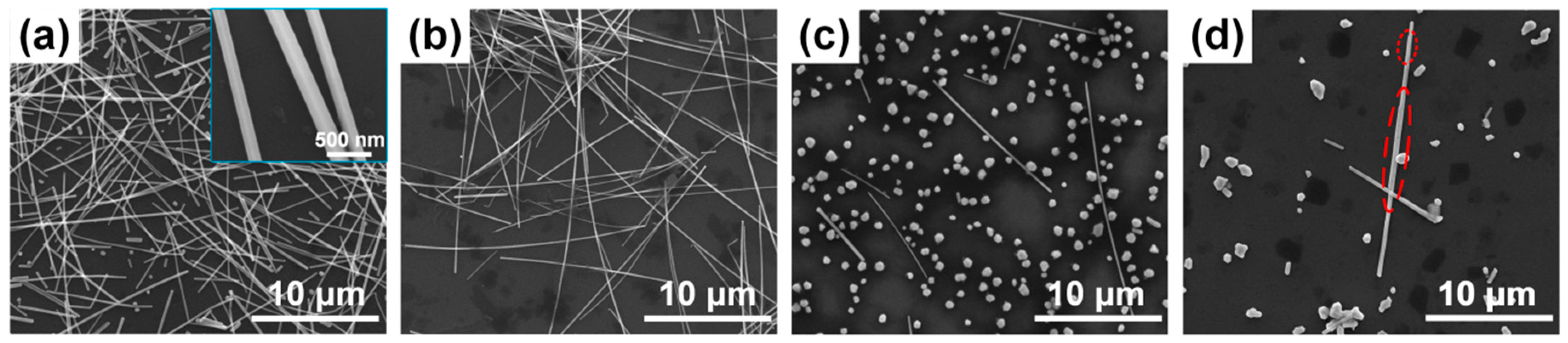 Nanomaterials 10 00237 g001 Nanomaterials 10 00237 g001