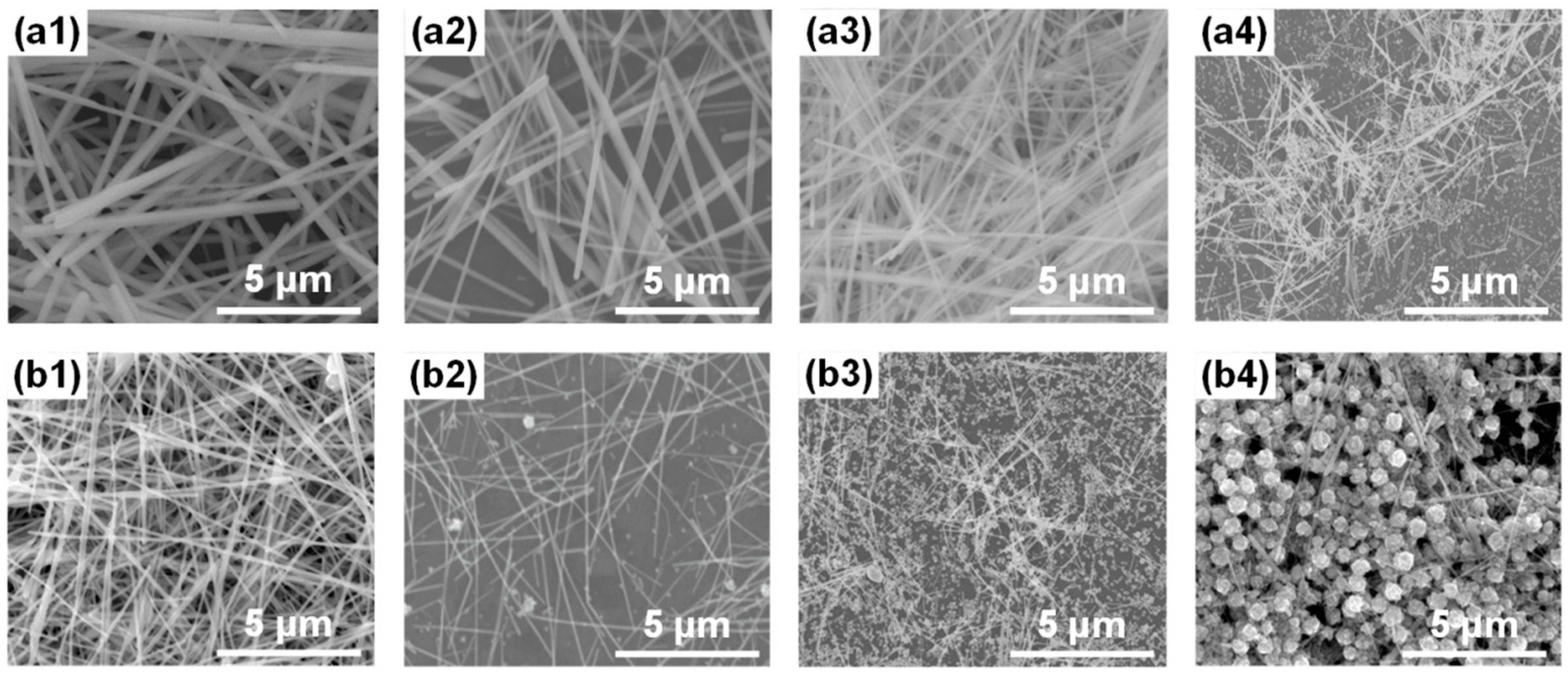 Nanomaterials 10 00237 g002 Nanomaterials 10 00237 g002