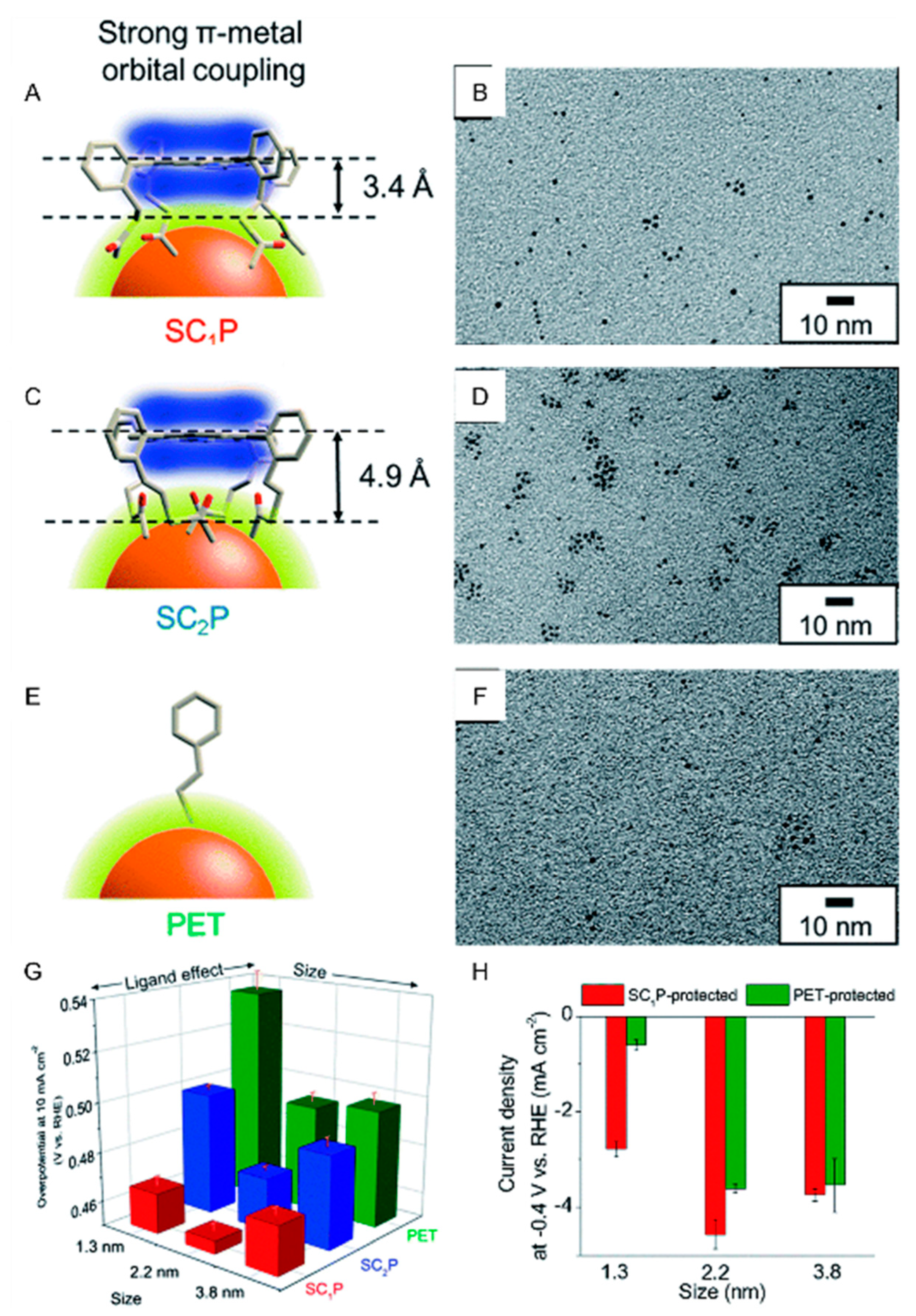 Nanomaterials 10 00238 g003