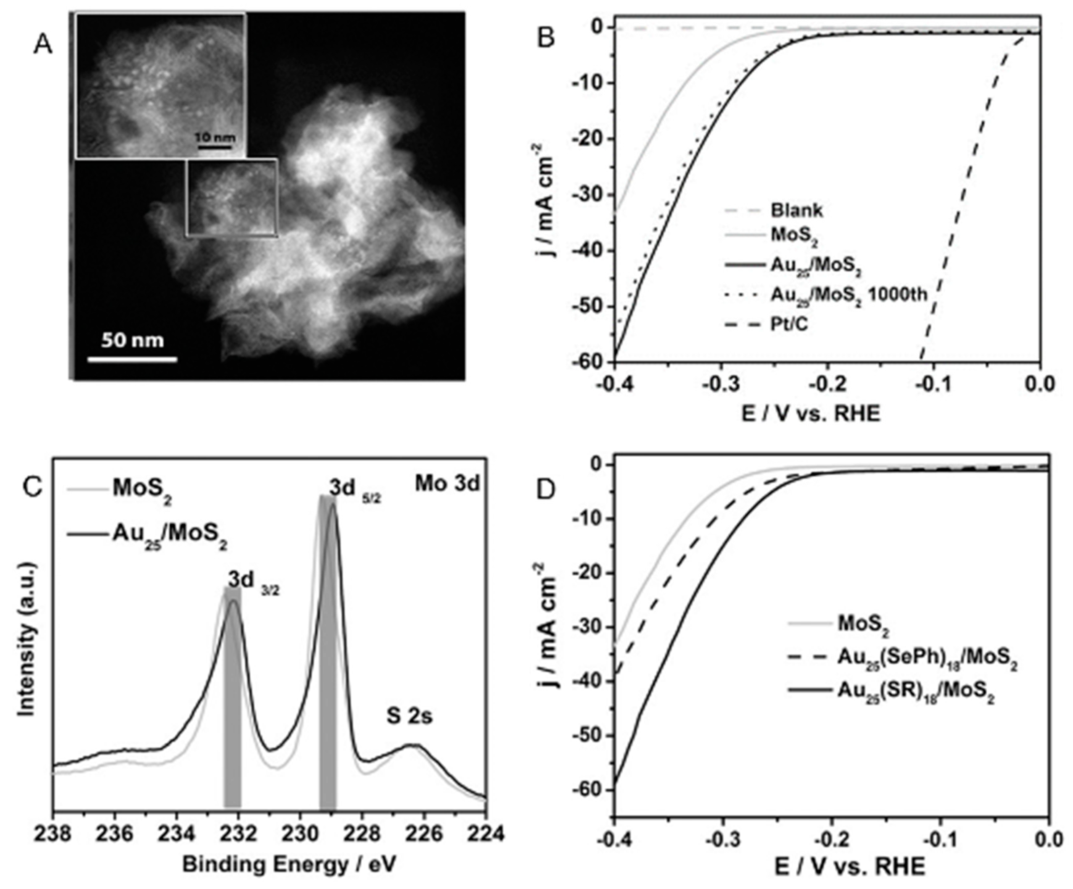 Nanomaterials 10 00238 g005