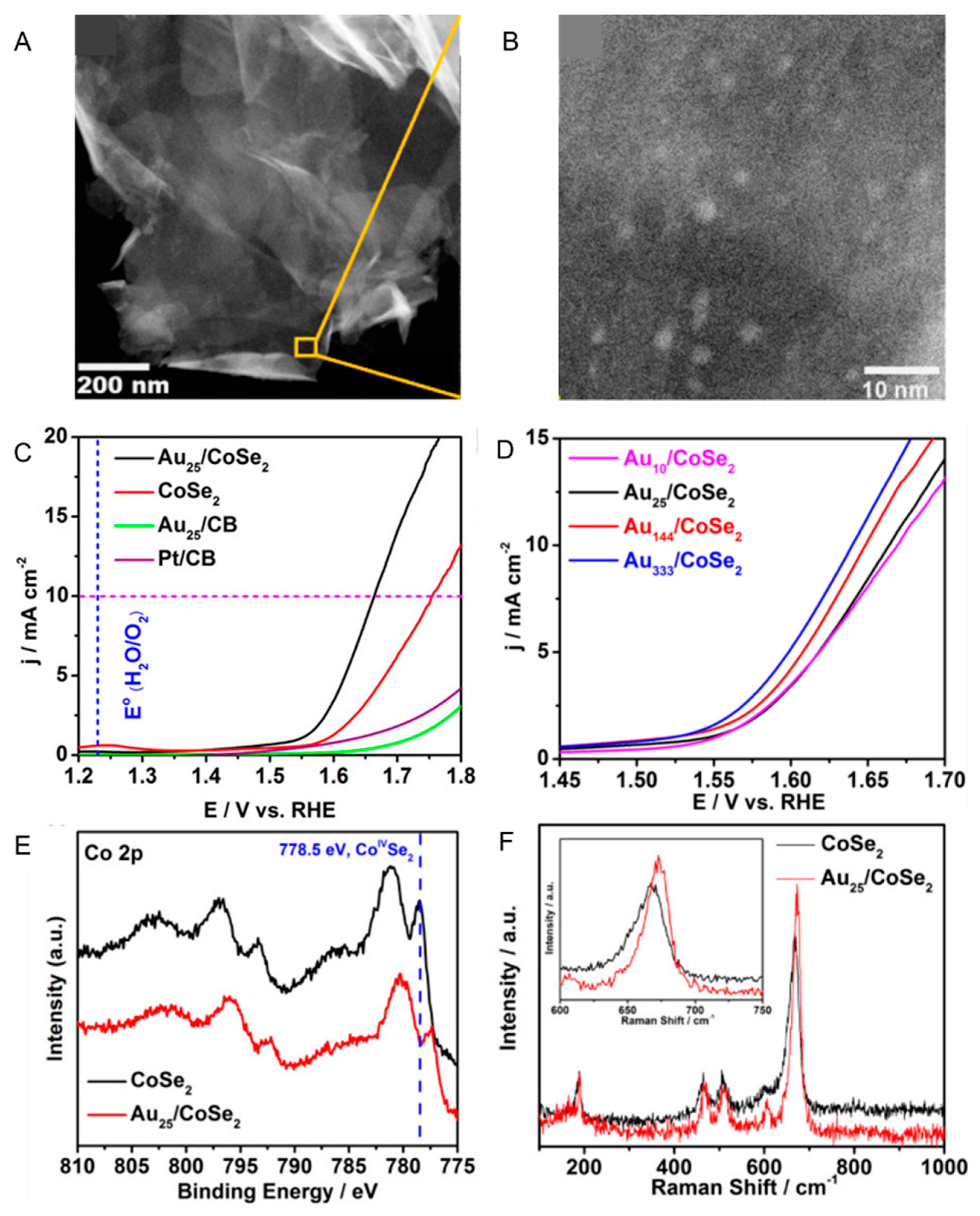 Nanomaterials 10 00238 g006