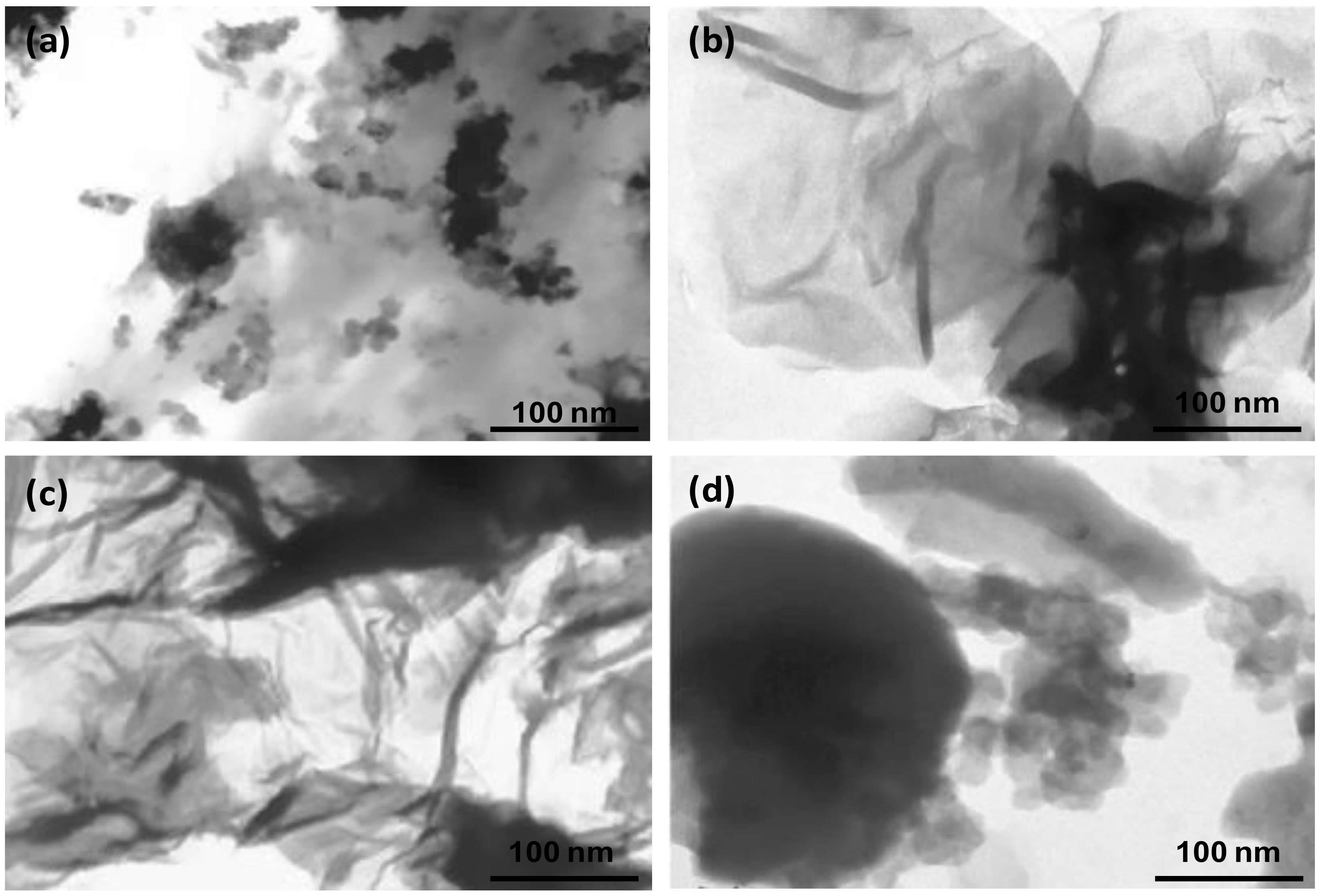 Nanomaterials 10 00239 g003