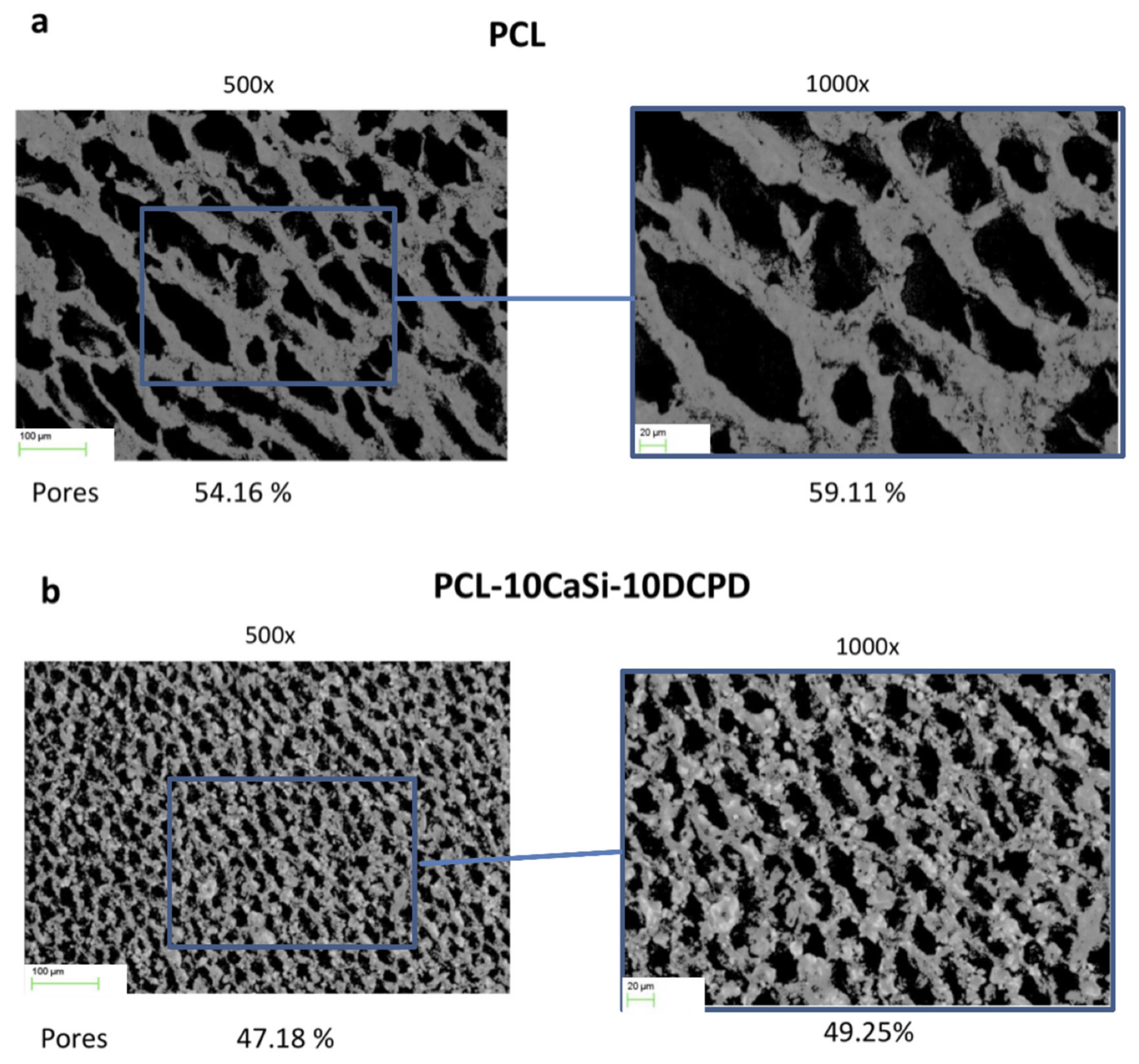Nanomaterials 10 00243 g002