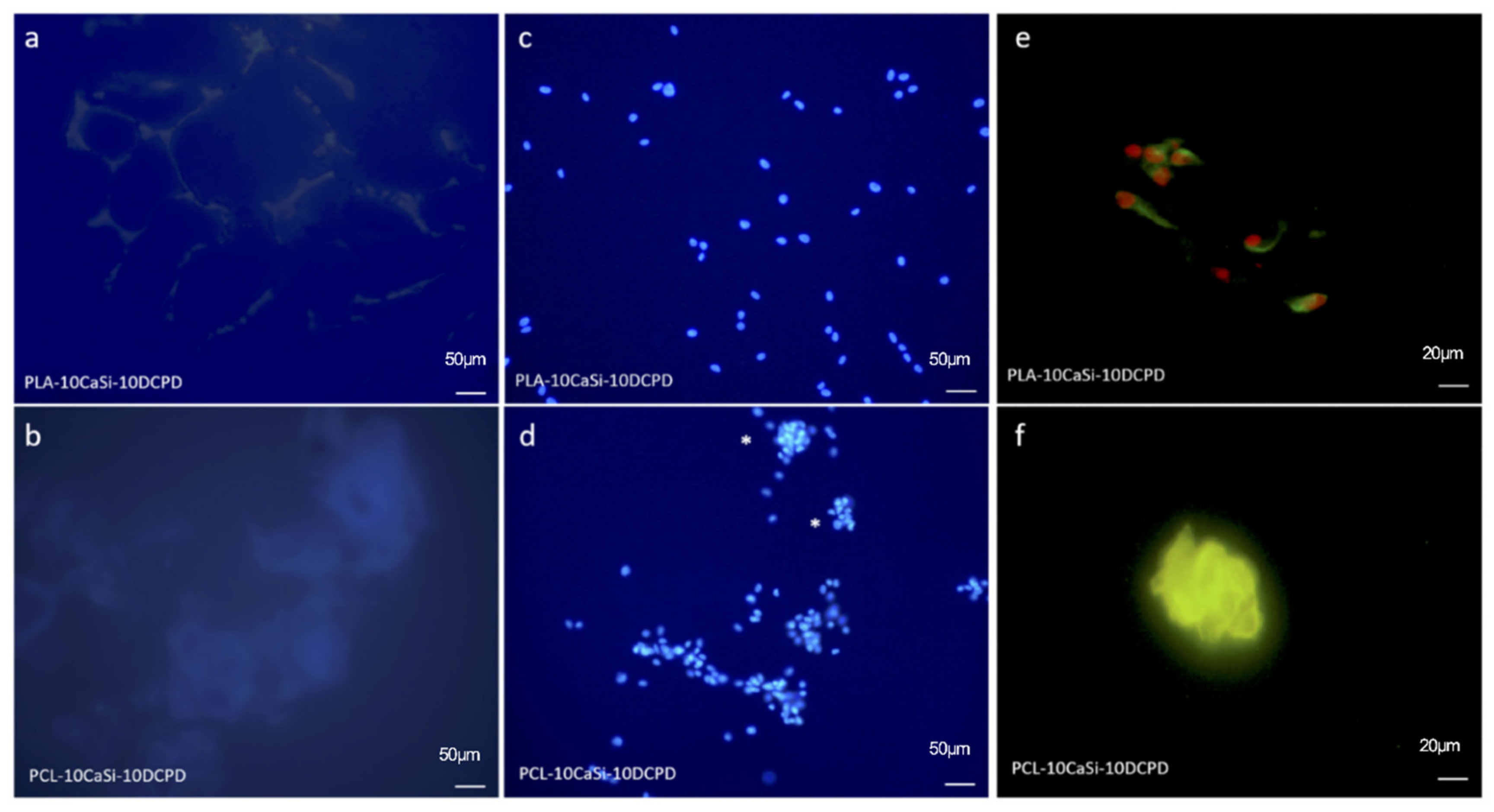 Nanomaterials 10 00243 g006