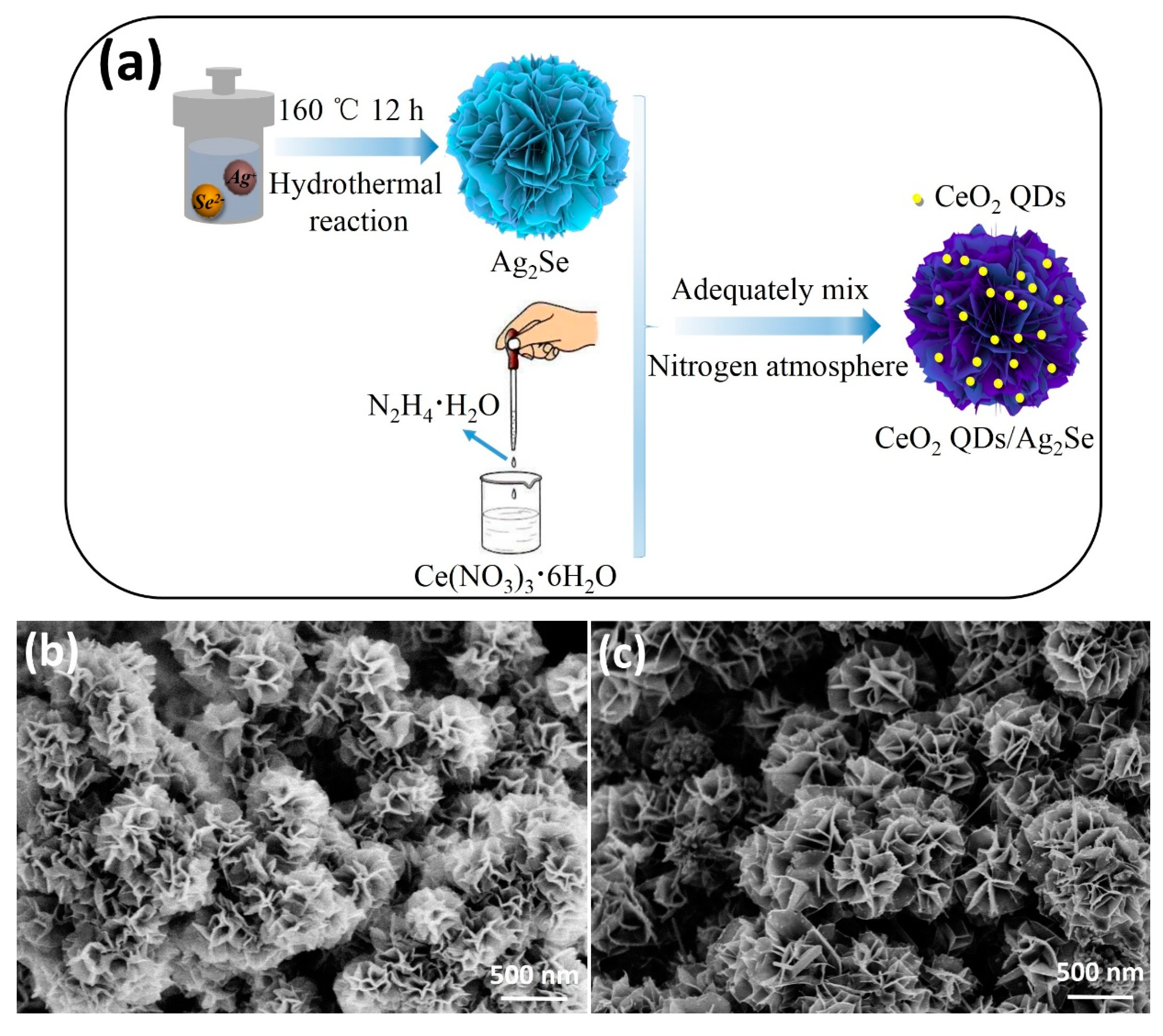 Nanomaterials 10 00253 g003