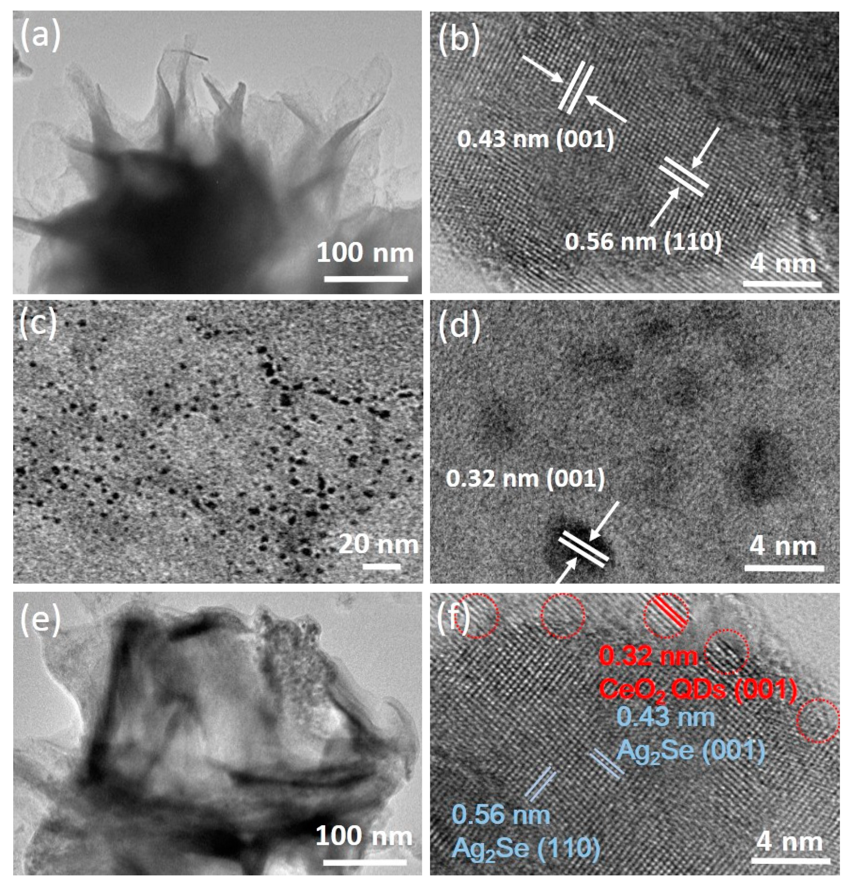 Nanomaterials 10 00253 g004