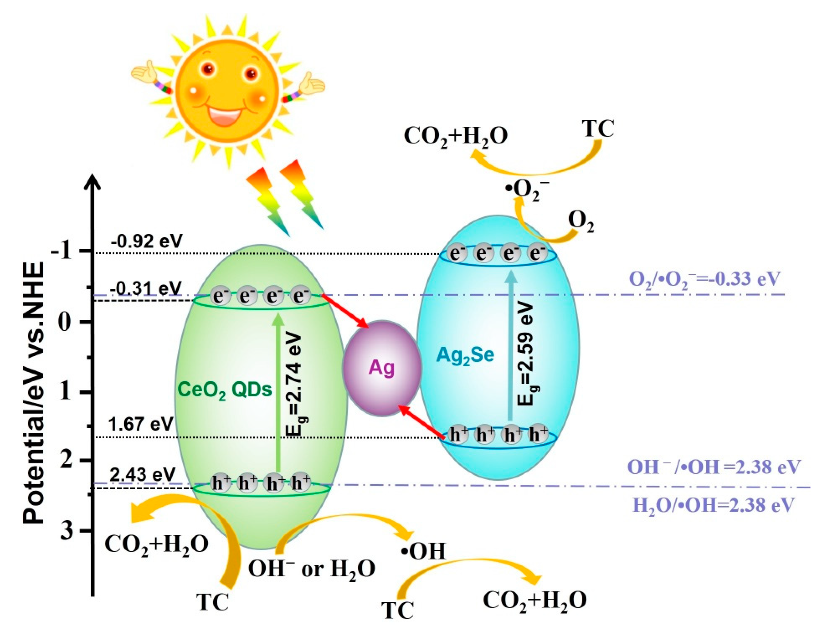 Nanomaterials 10 00253 sch001