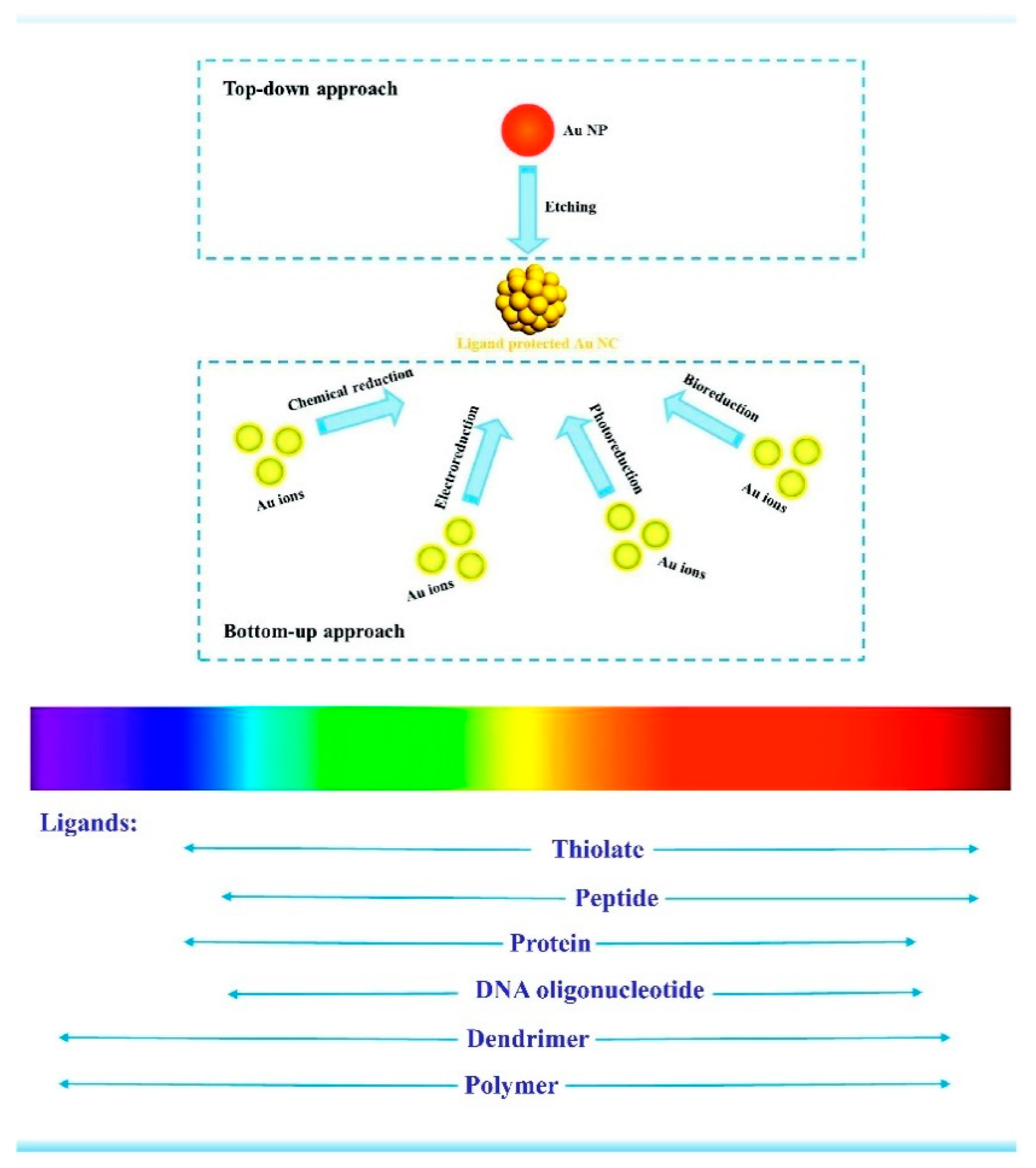 Nanomaterials 10 00261 g001