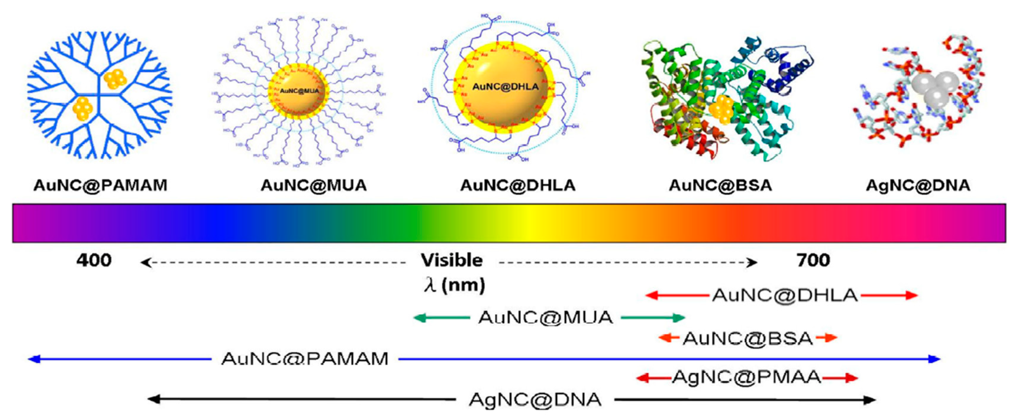 Nanomaterials 10 00261 g005