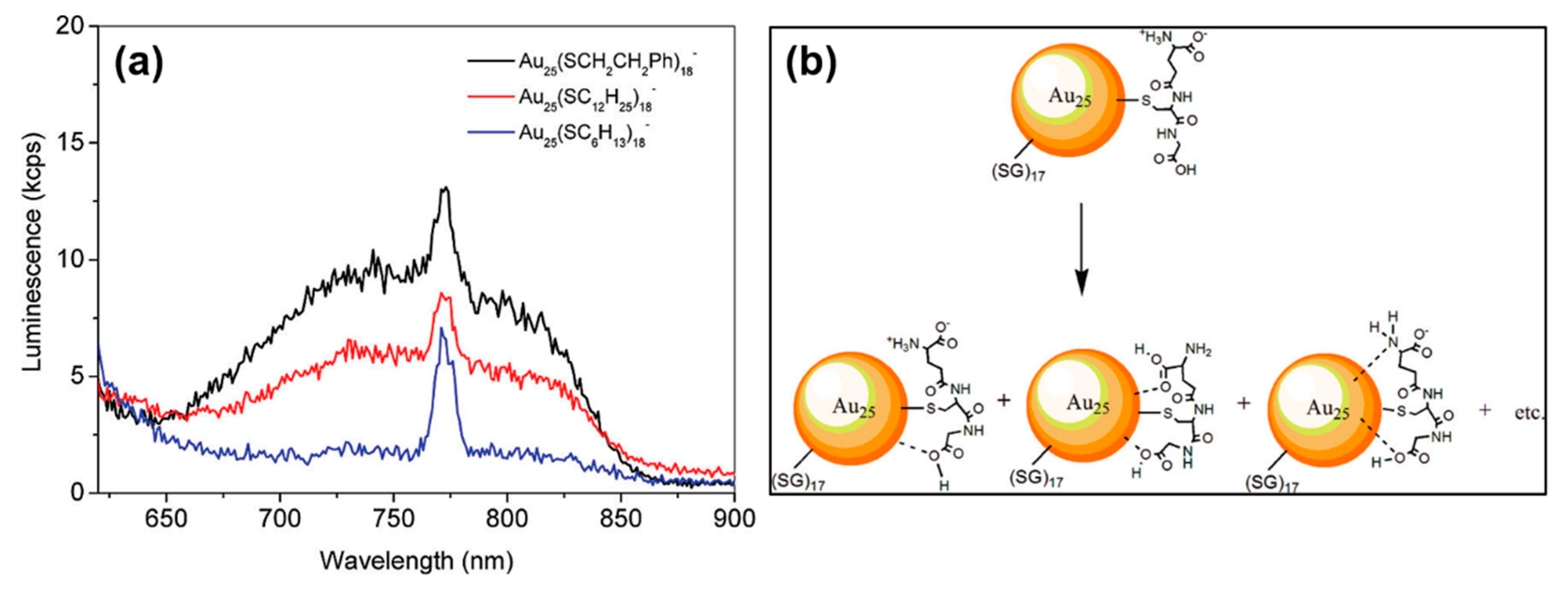 Nanomaterials 10 00261 g006