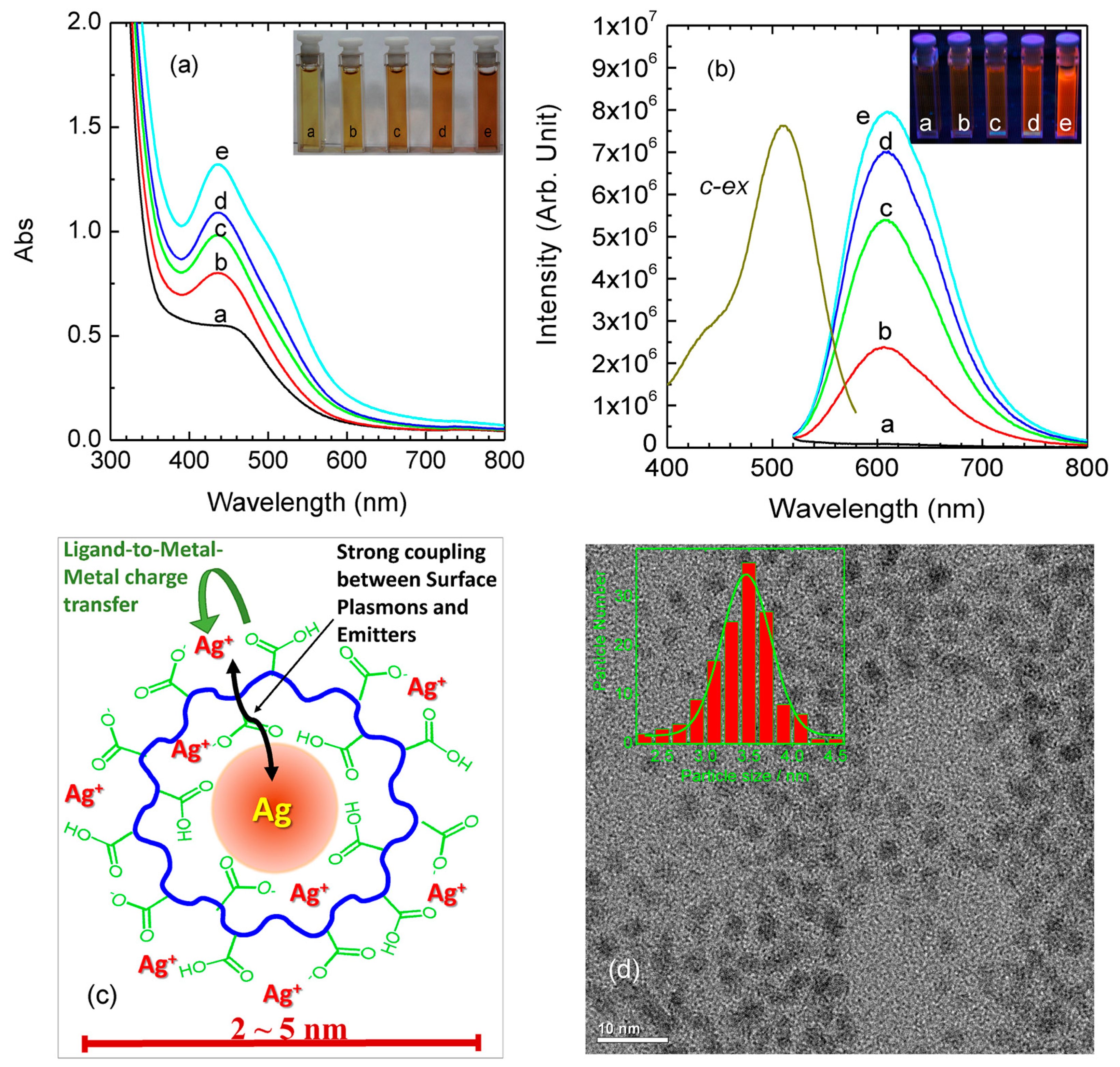 Nanomaterials 10 00261 g010