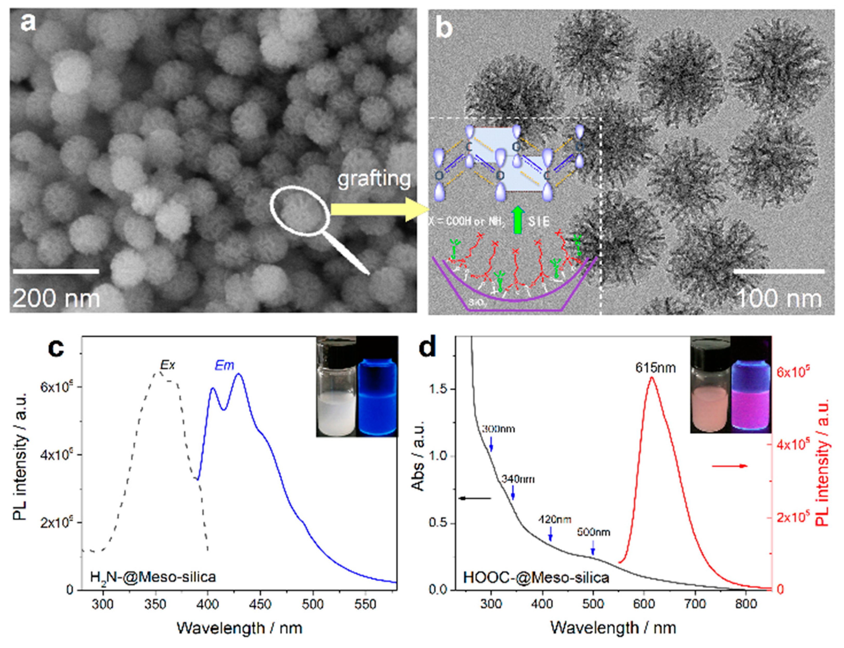 Nanomaterials 10 00261 g016