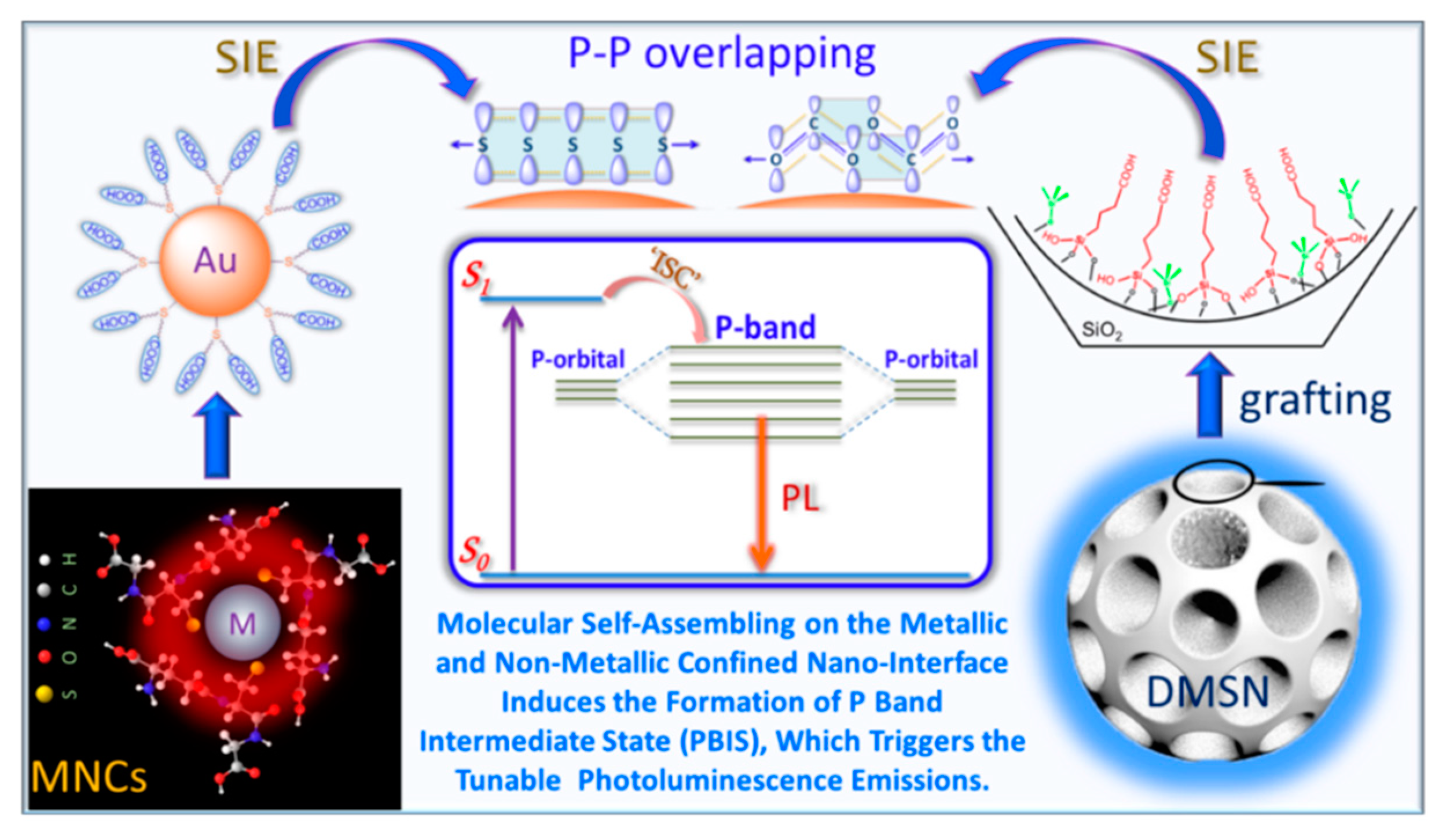 Nanomaterials 10 00261 g017