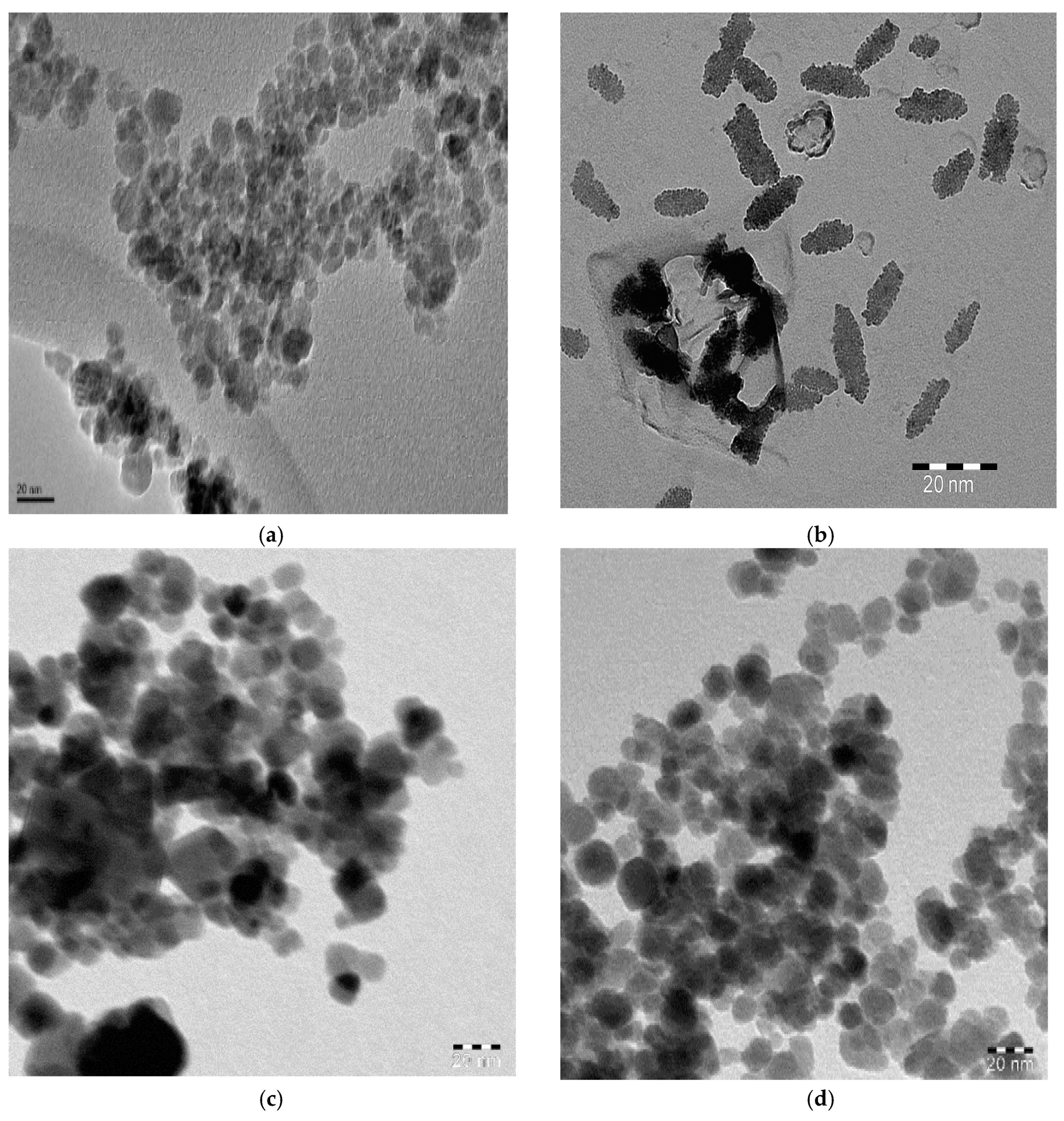 Nanomaterials 10 00262 g003