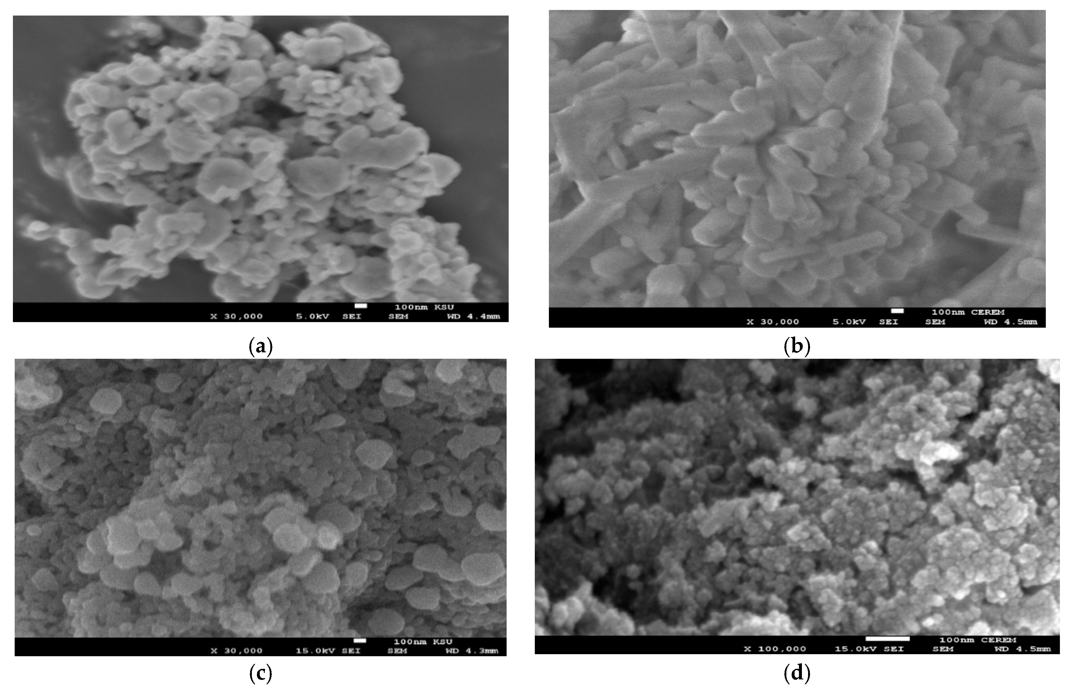 Nanomaterials 10 00262 g004