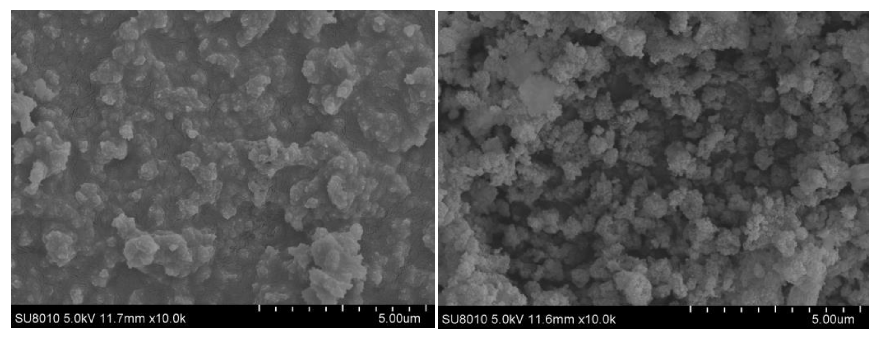 Nanomaterials 10 00263 g011