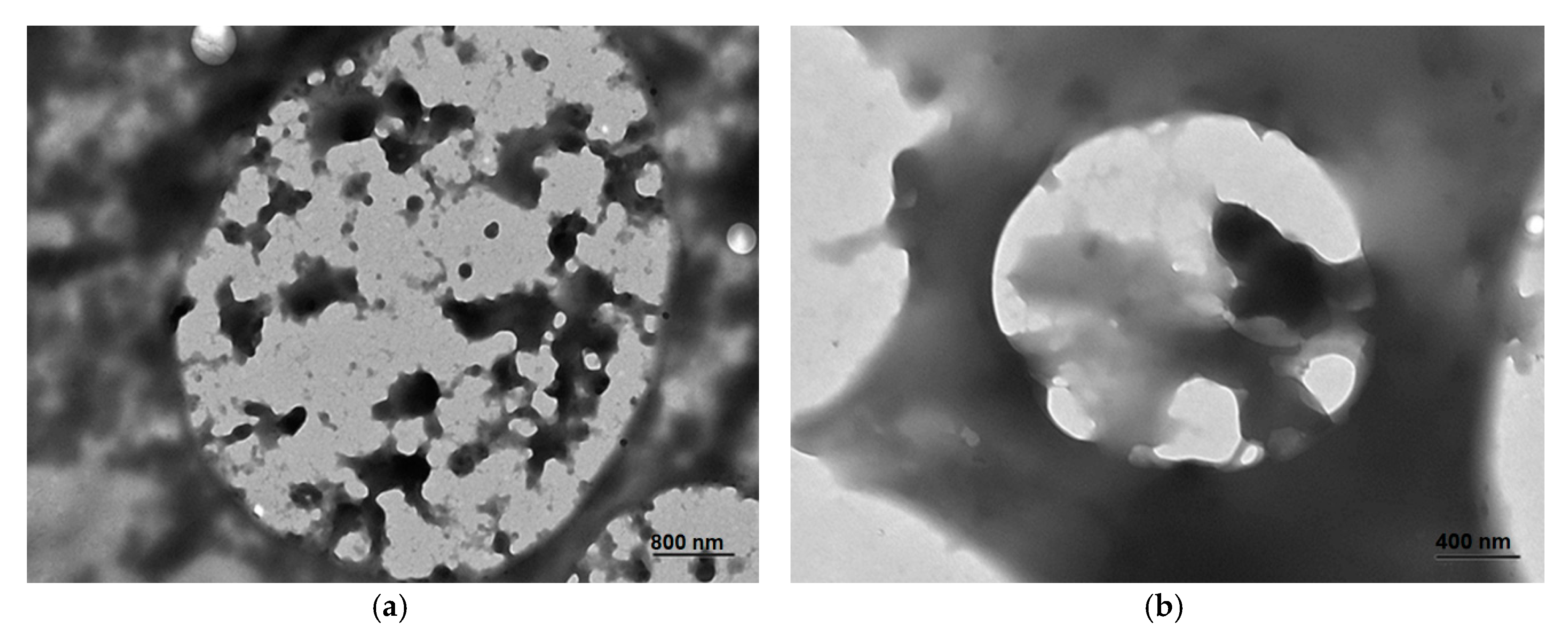 Nanomaterials 10 00270 g003