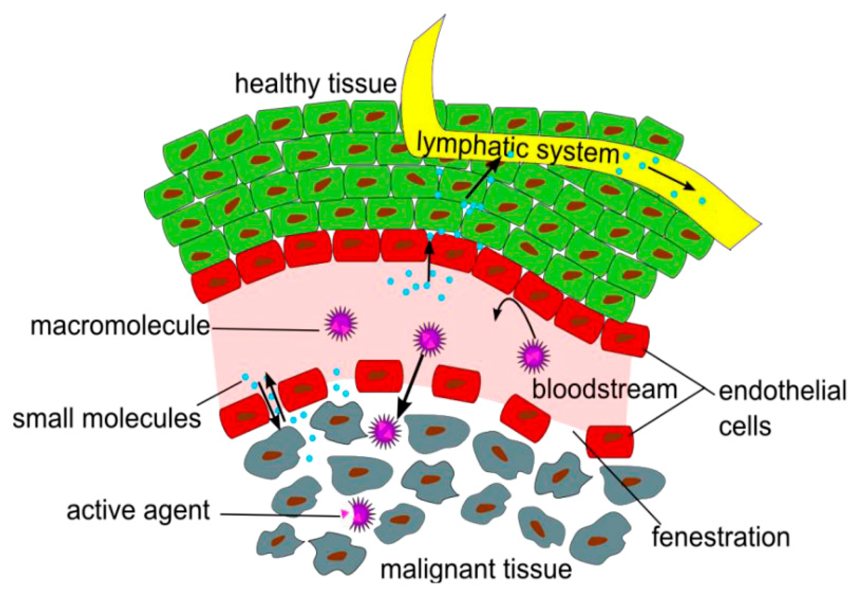 Nanomaterials 10 00276 g004 Nanomaterials 10 00276 g004