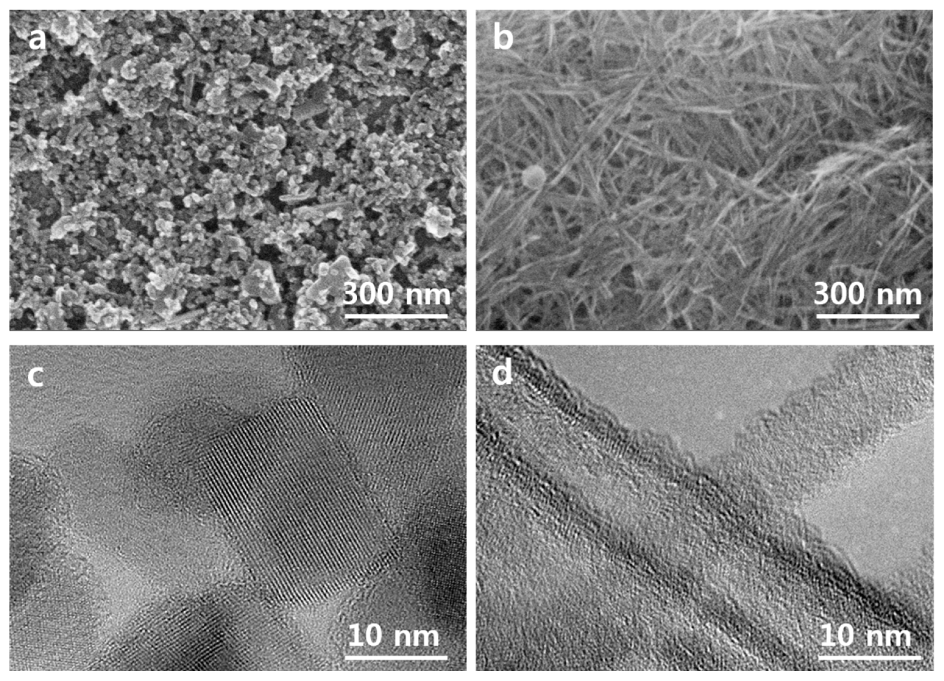 Nanomaterials 10 00296 g003