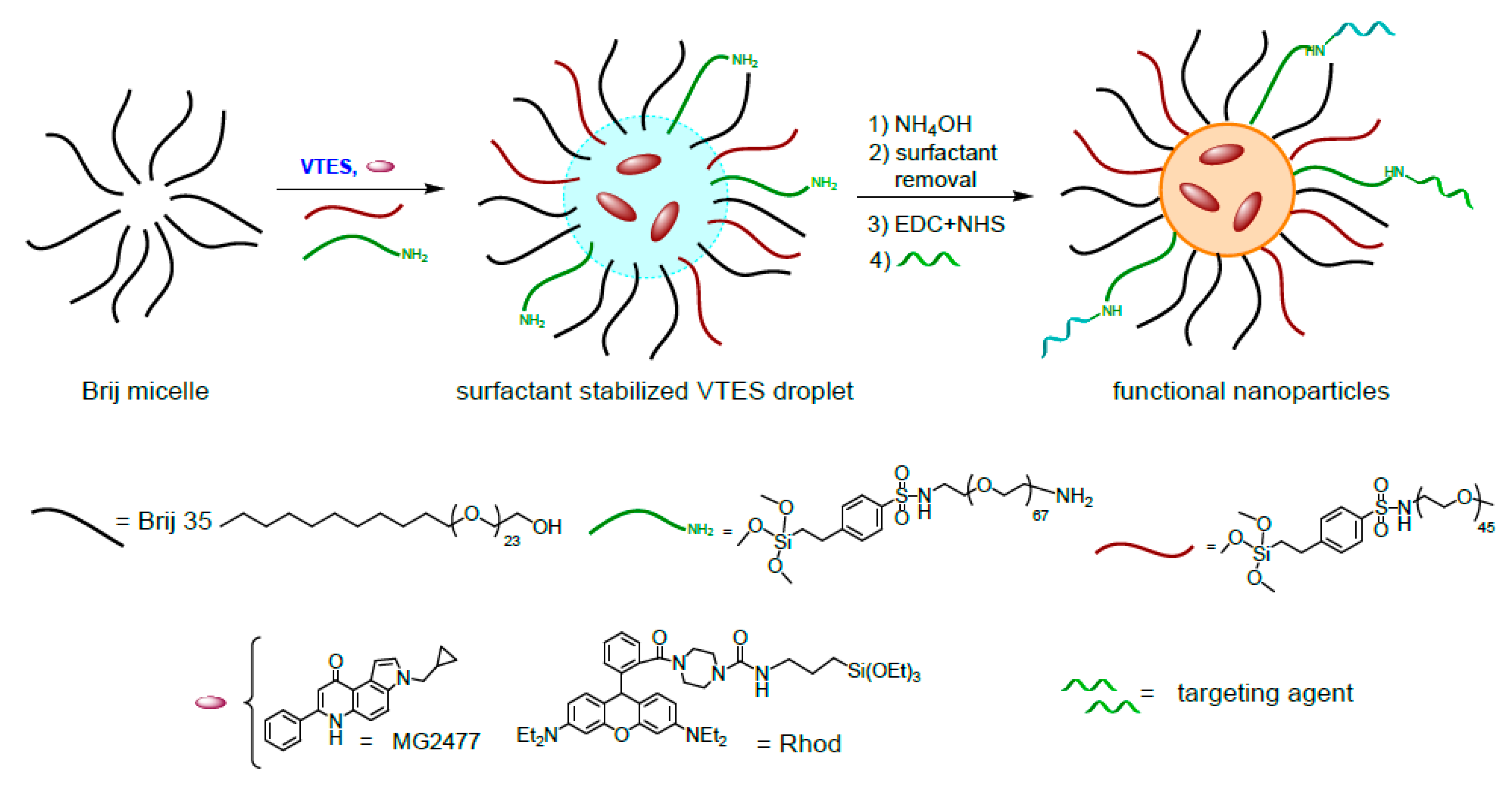 Nanomaterials 10 00298 g001