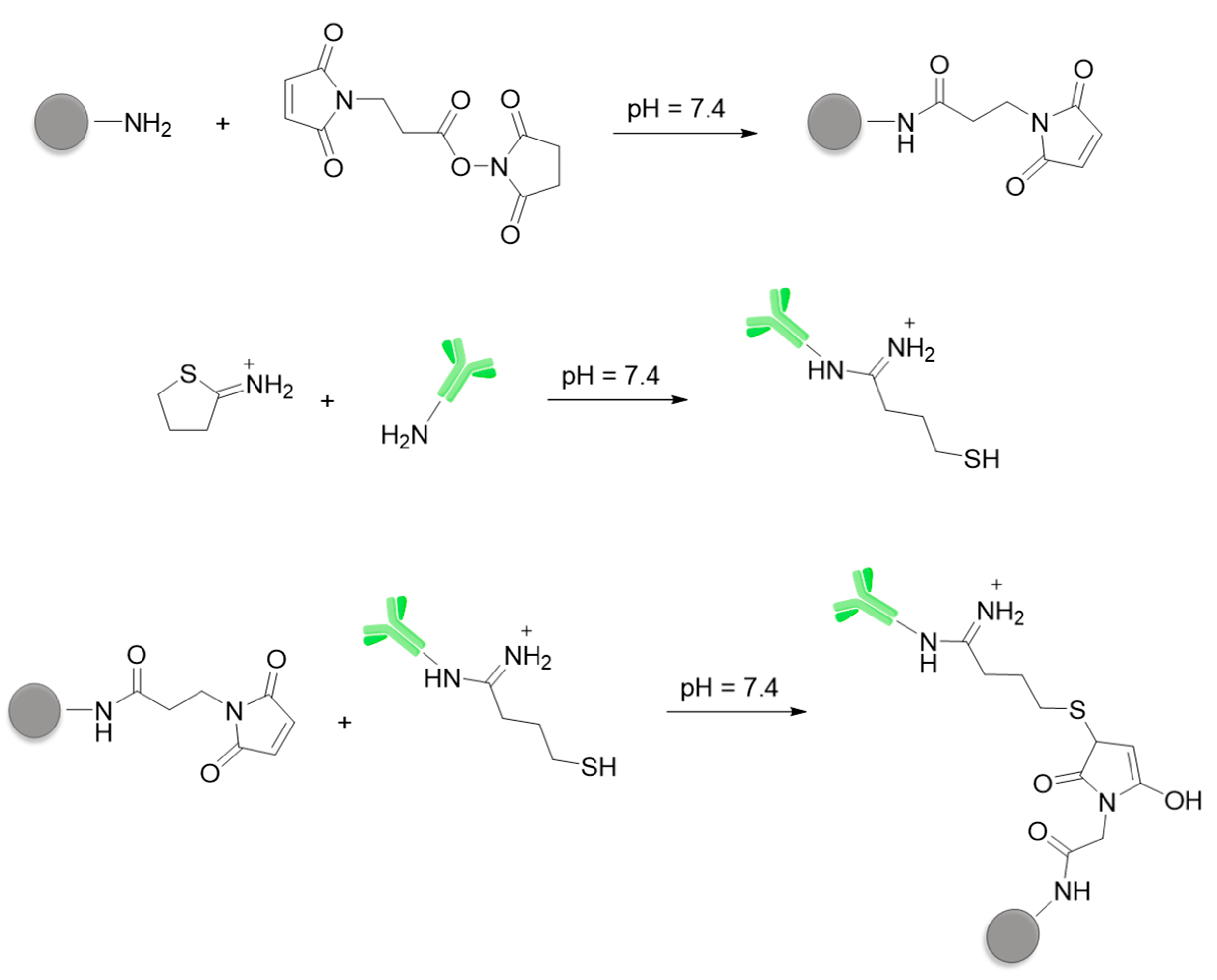 Nanomaterials 10 00298 g003