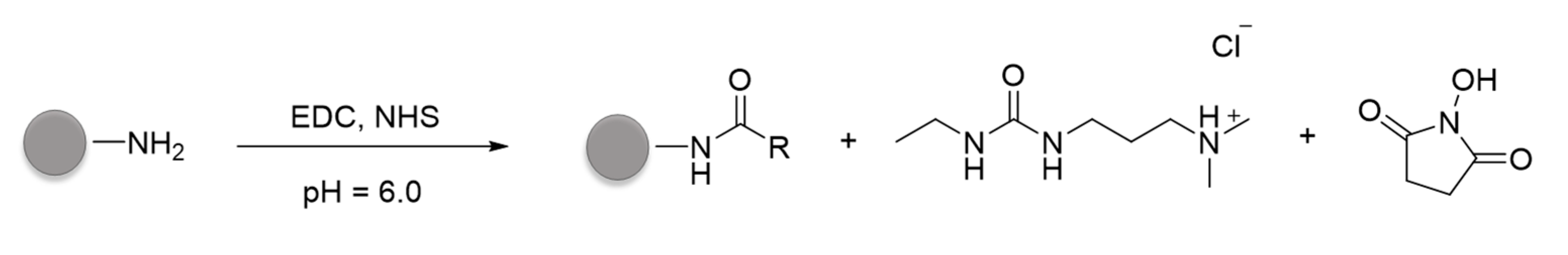Nanomaterials 10 00298 g004