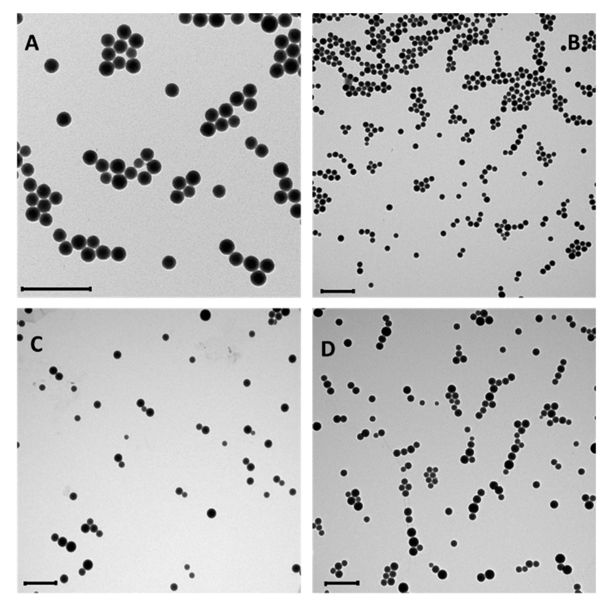 Nanomaterials 10 00298 g005
