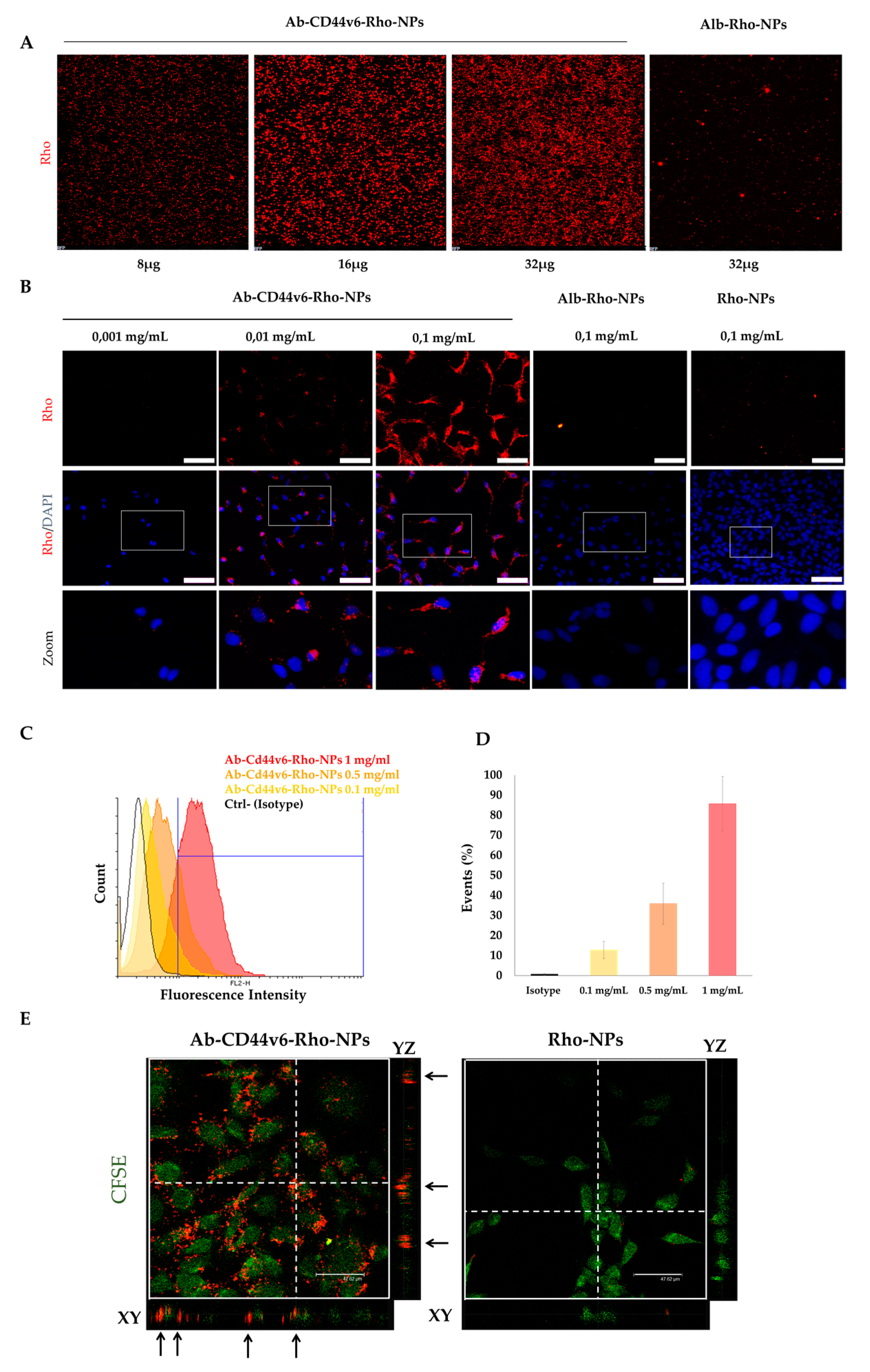 Nanomaterials 10 00298 g008