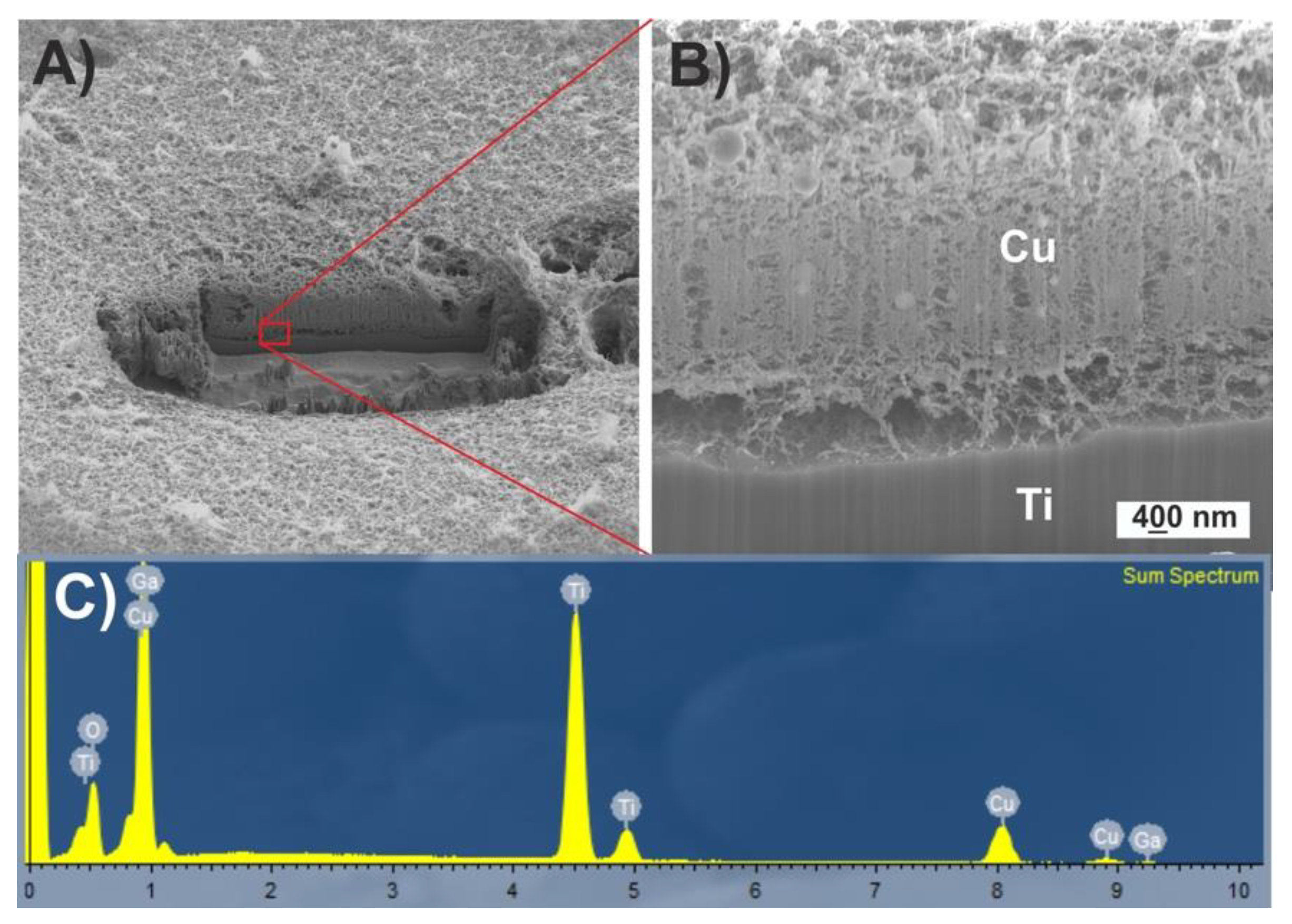 Nanomaterials 10 00300 g002