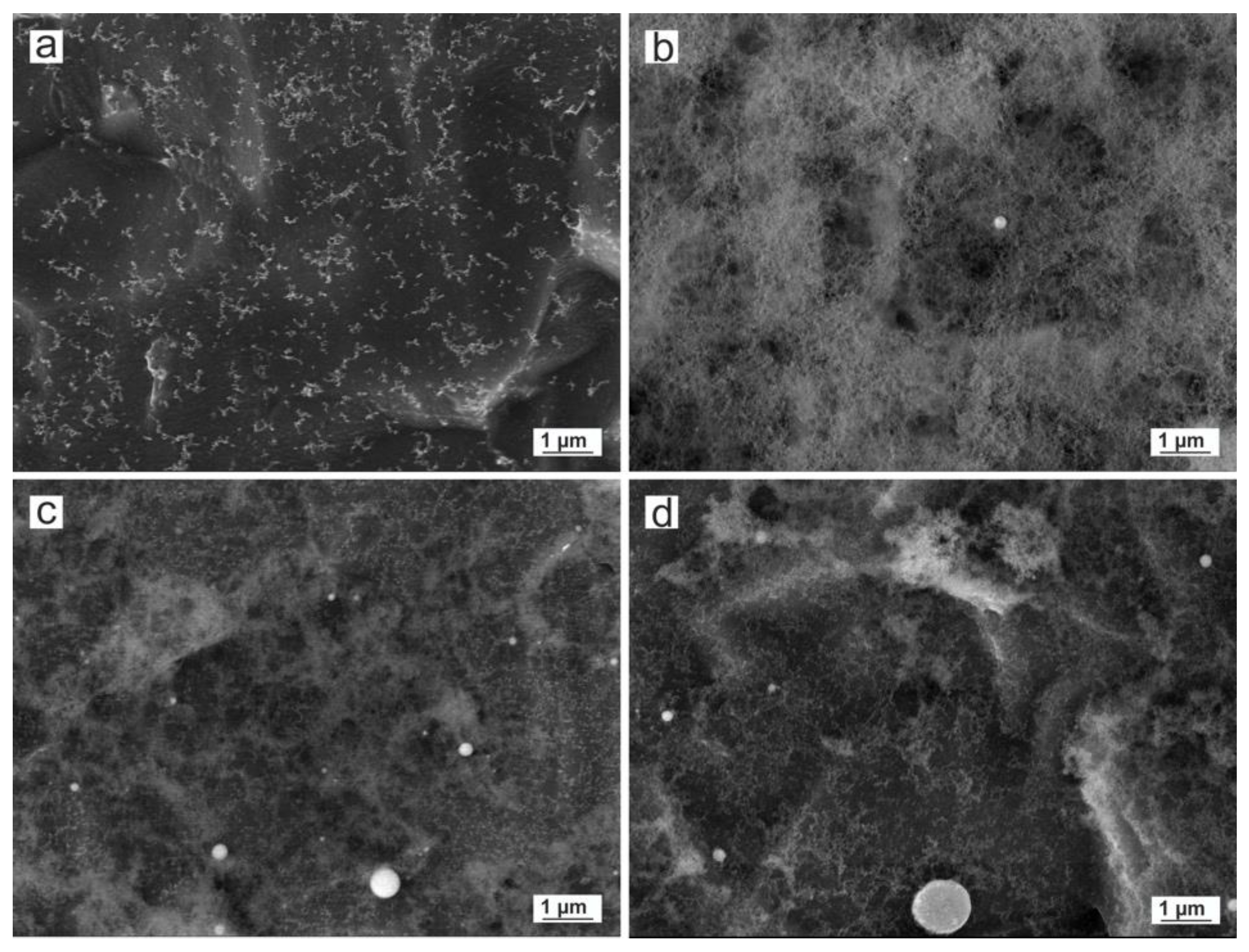 Nanomaterials 10 00300 g004