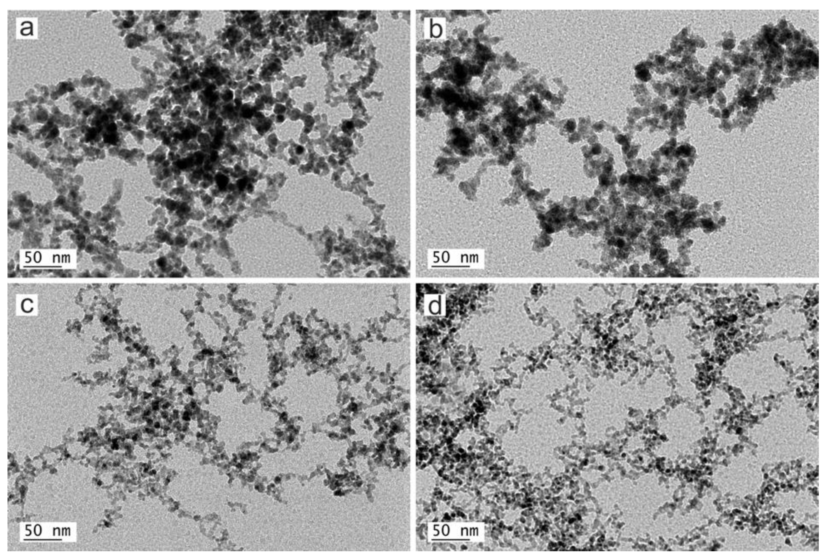 Nanomaterials 10 00300 g005