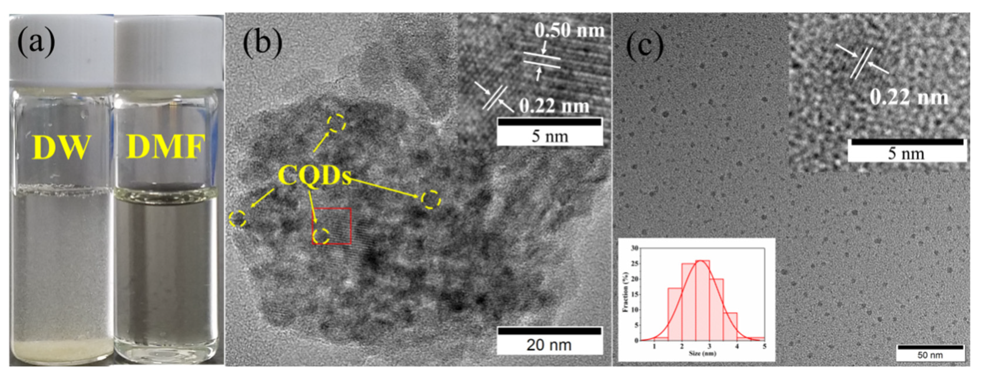 Nanomaterials 10 00303 g003