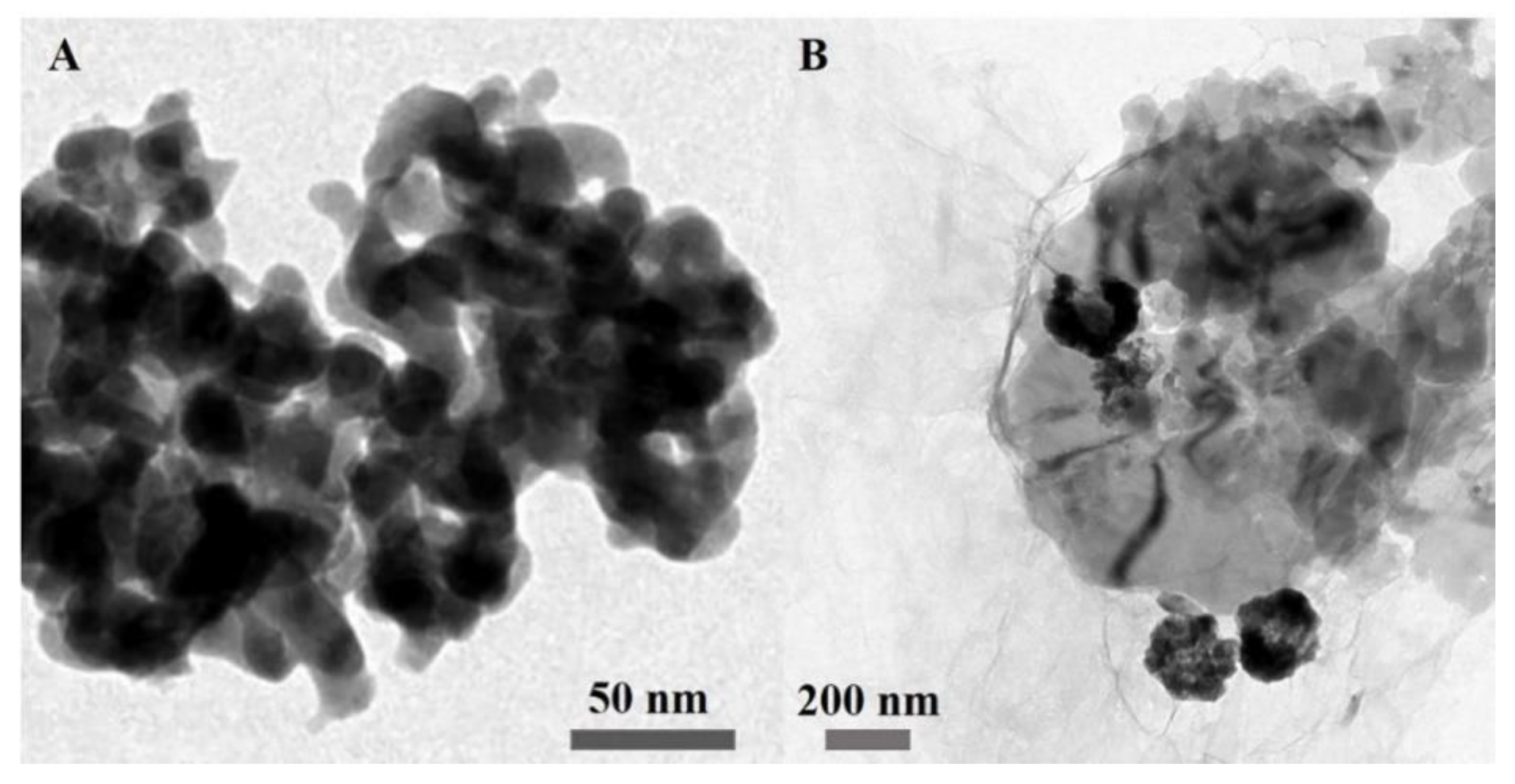 Nanomaterials 10 00307 g001