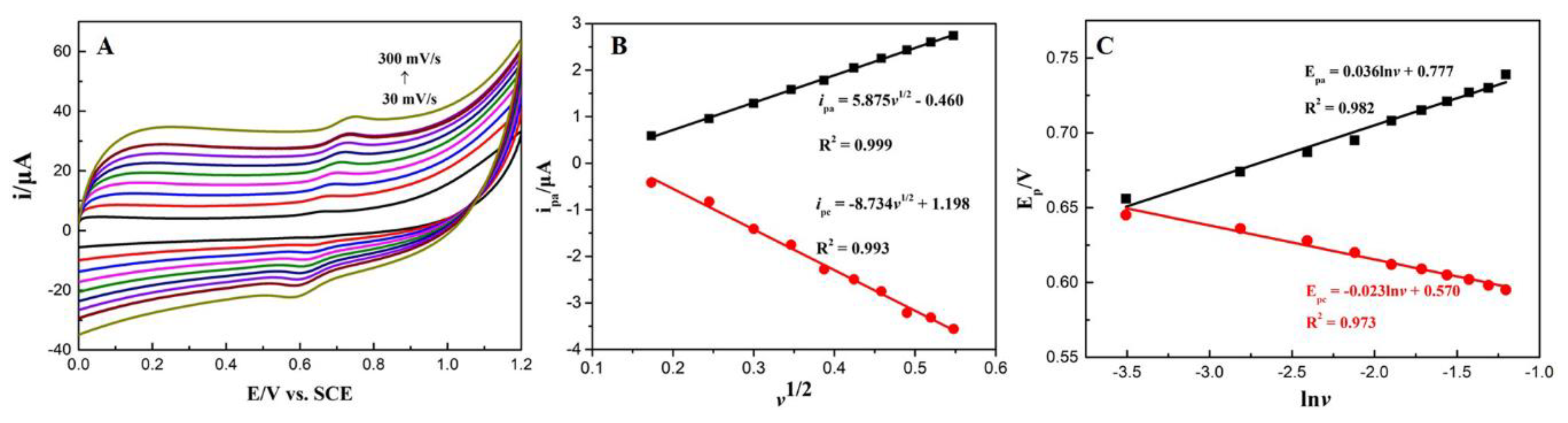 Nanomaterials 10 00307 g007