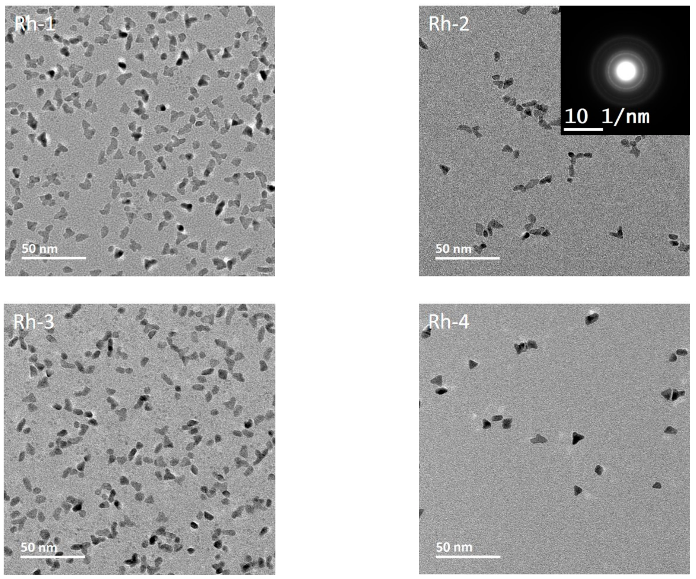 Nanomaterials 10 00310 g004
