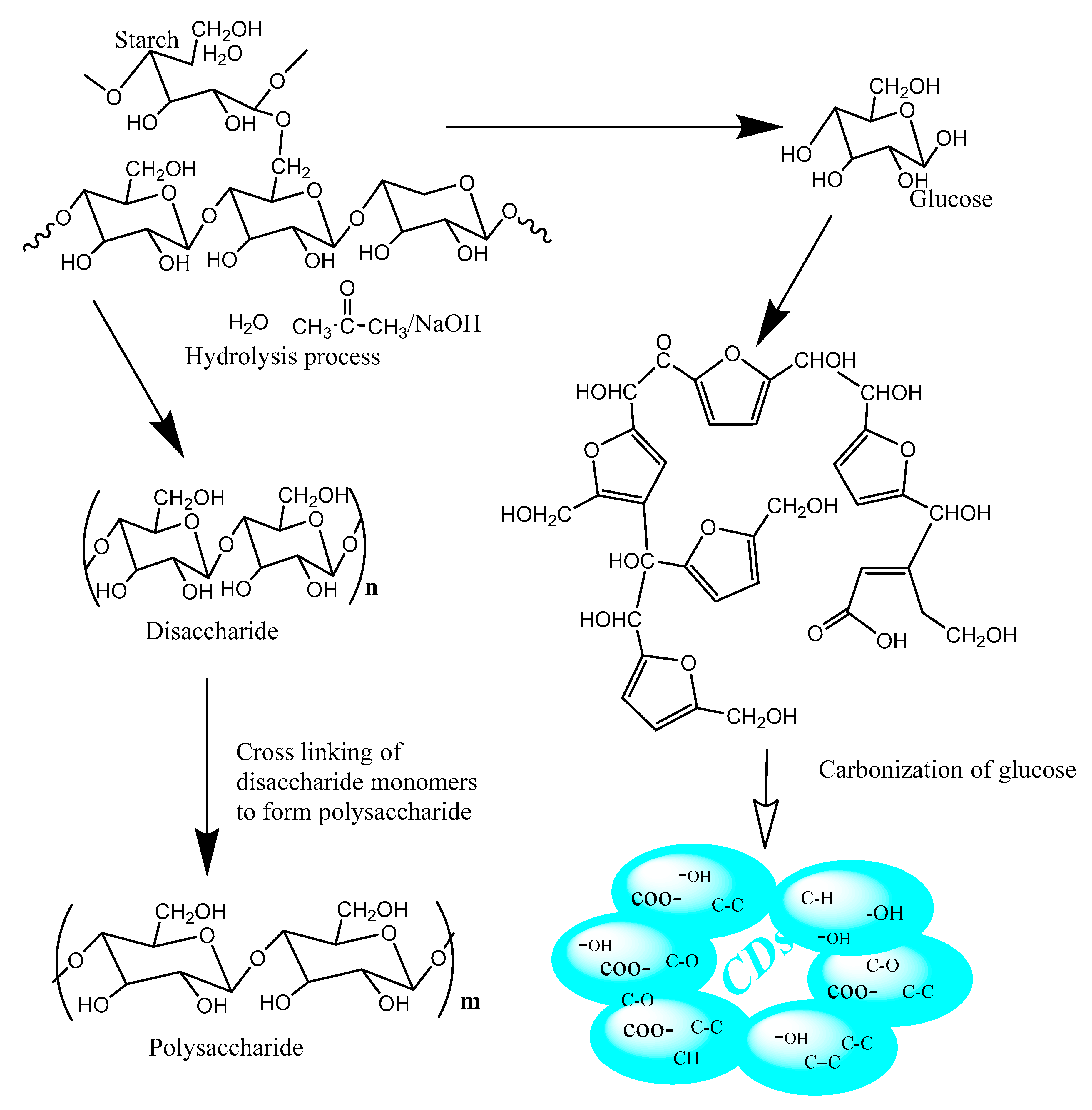 Nanomaterials 10 00315 g001