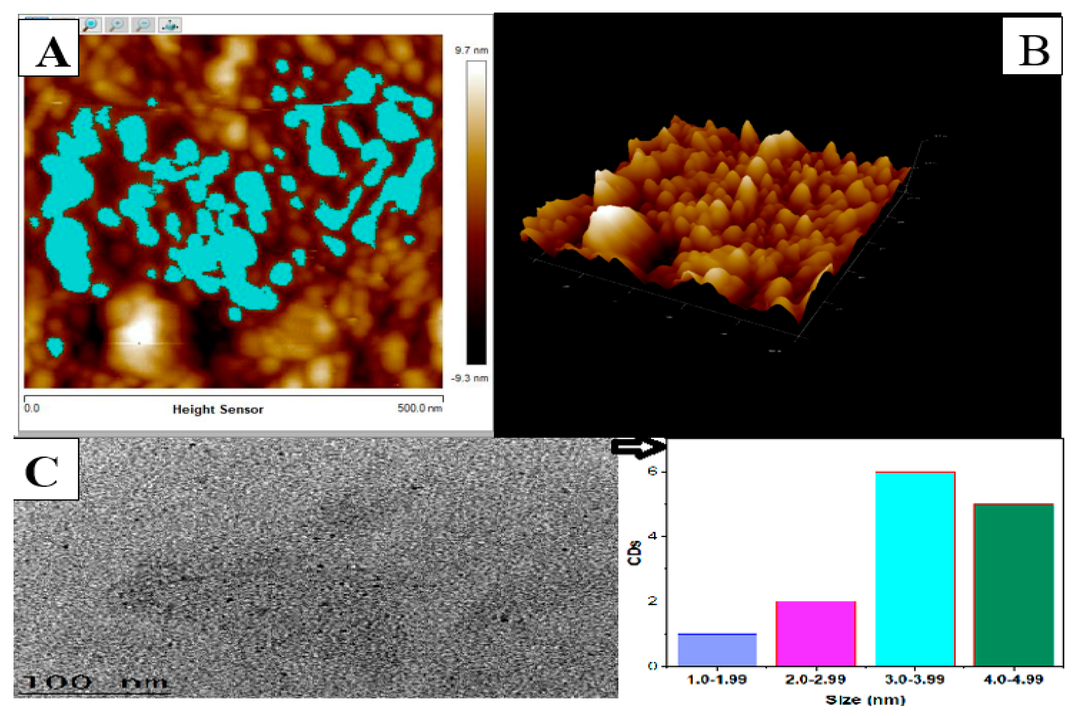 Nanomaterials 10 00315 g002