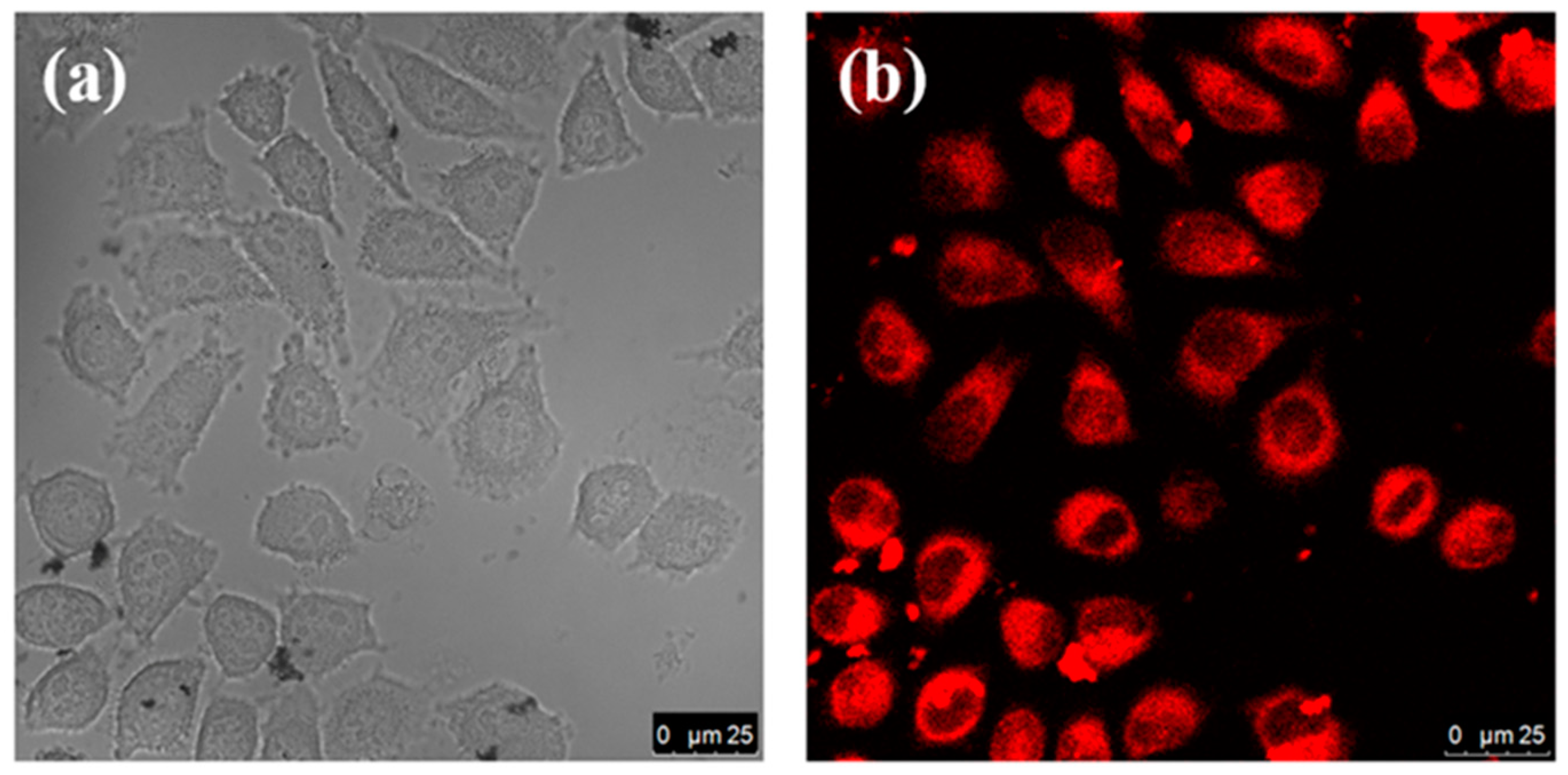Nanomaterials 10 00326 g005