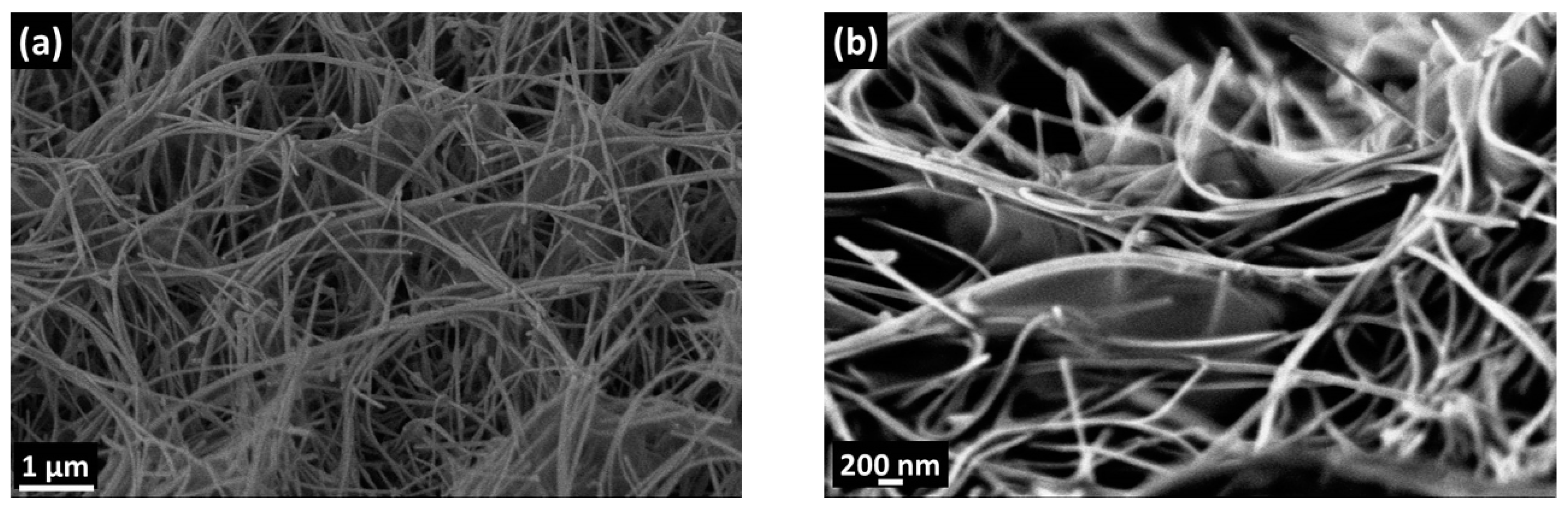 Nanomaterials 10 00329 g004