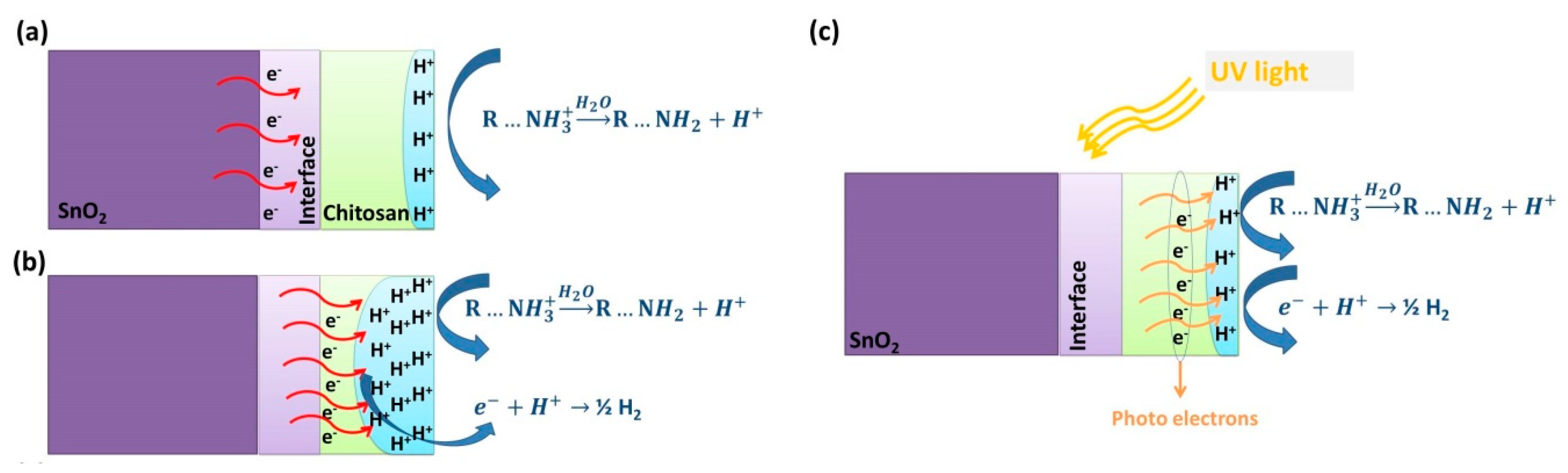 Nanomaterials 10 00329 g009