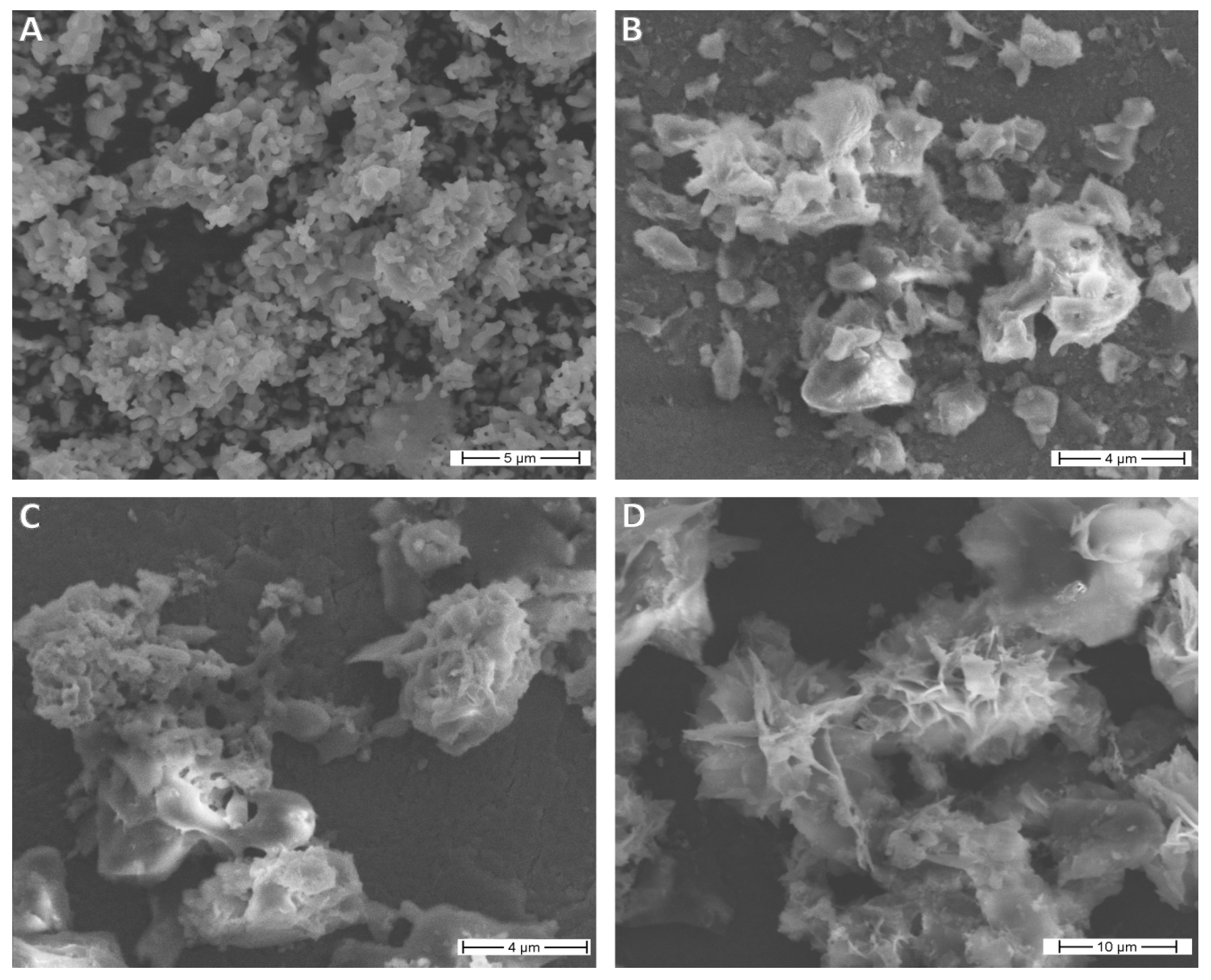 Nanomaterials 10 00331 g004