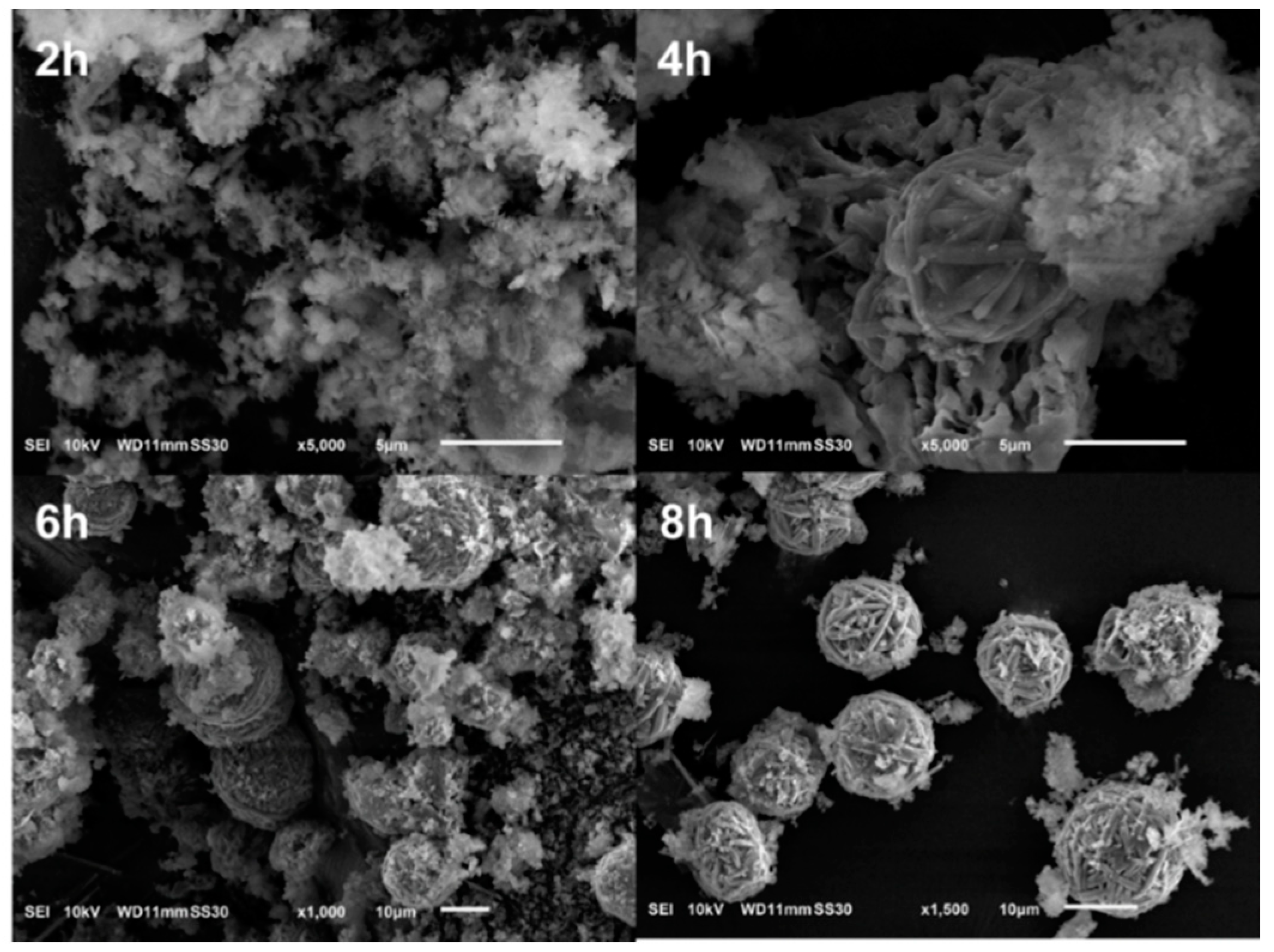Nanomaterials 10 00339 g002