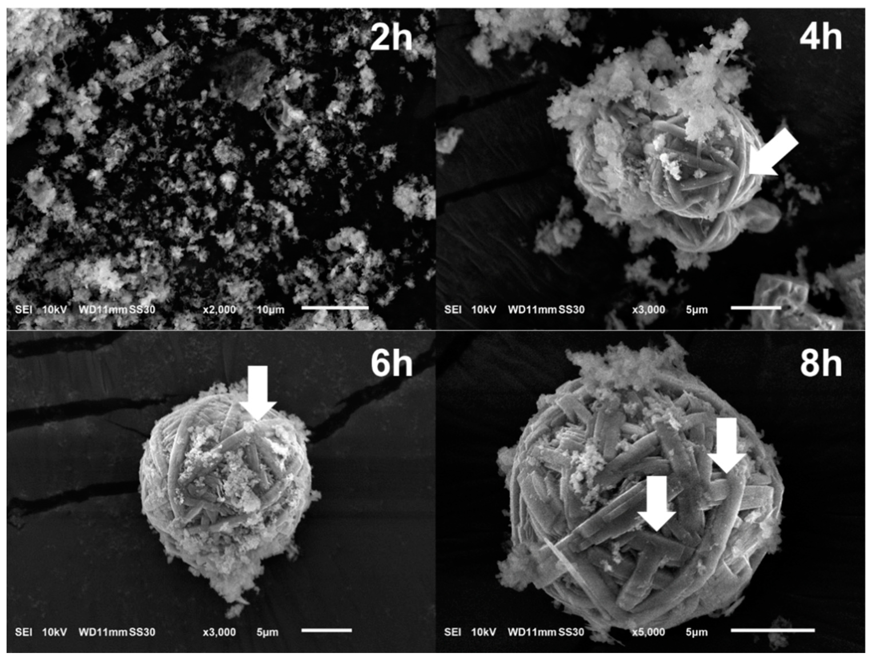 Nanomaterials 10 00339 g004