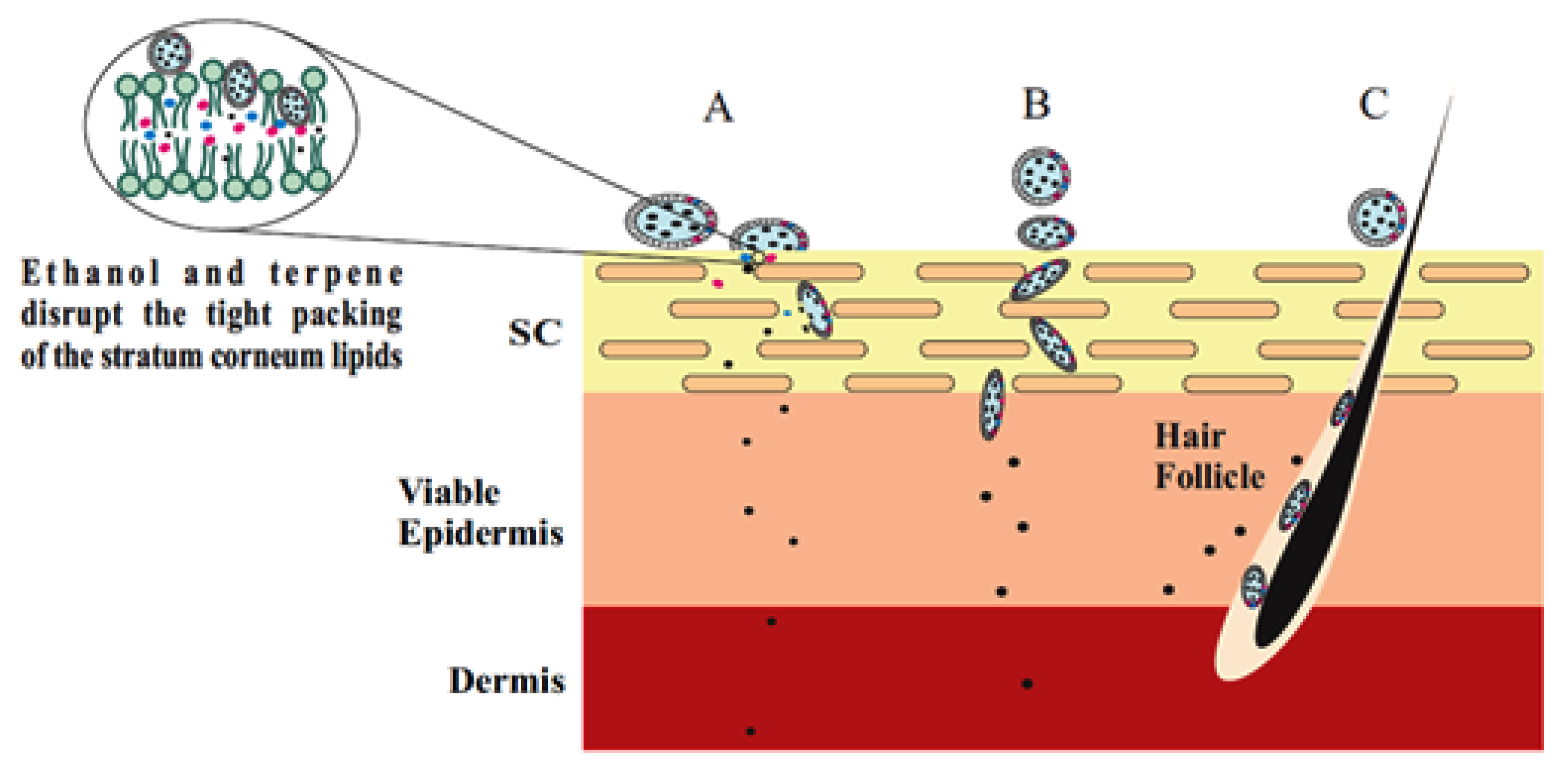 Nanomaterials 10 00341 g003