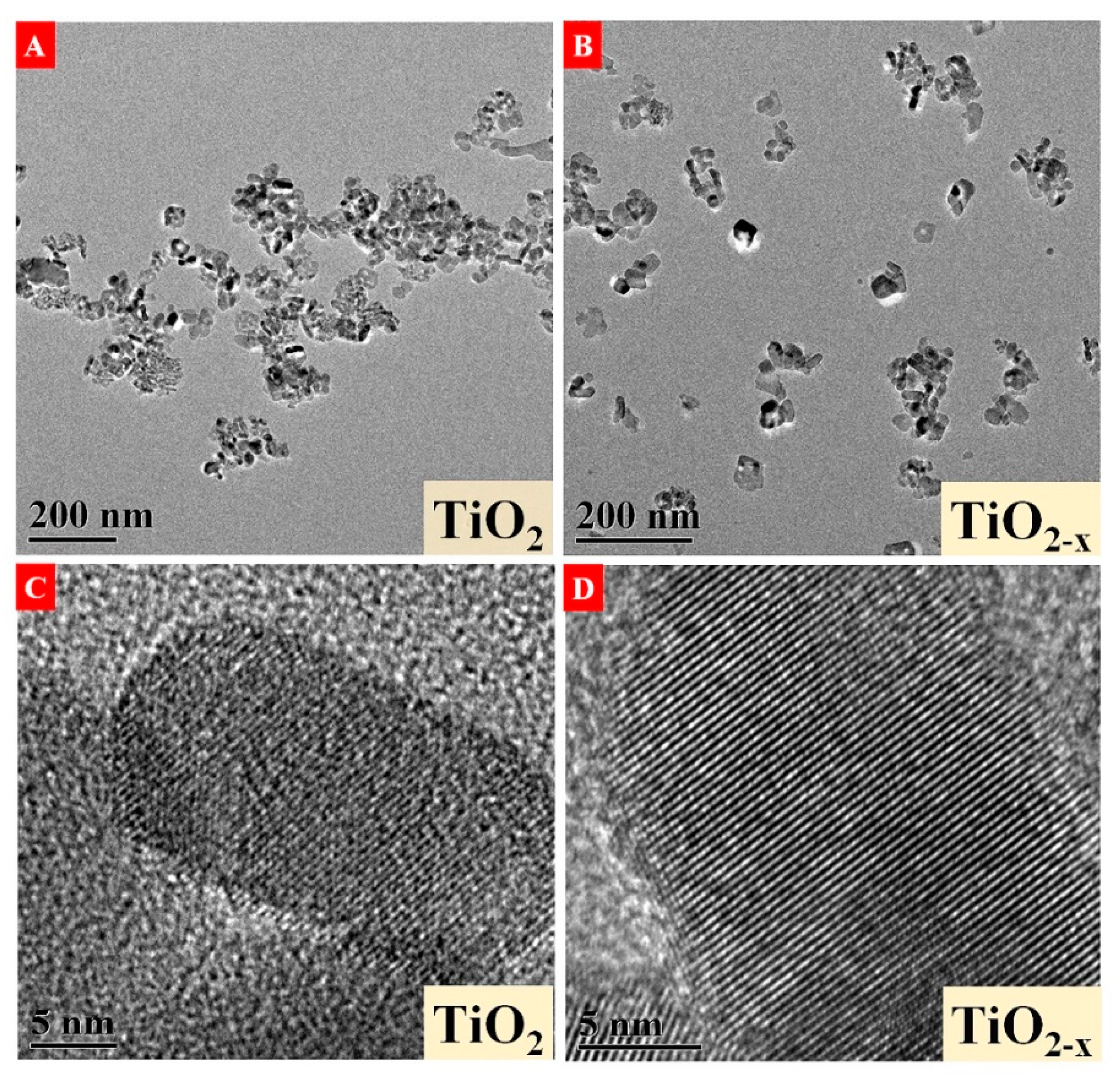 Nanomaterials 10 00342 g004