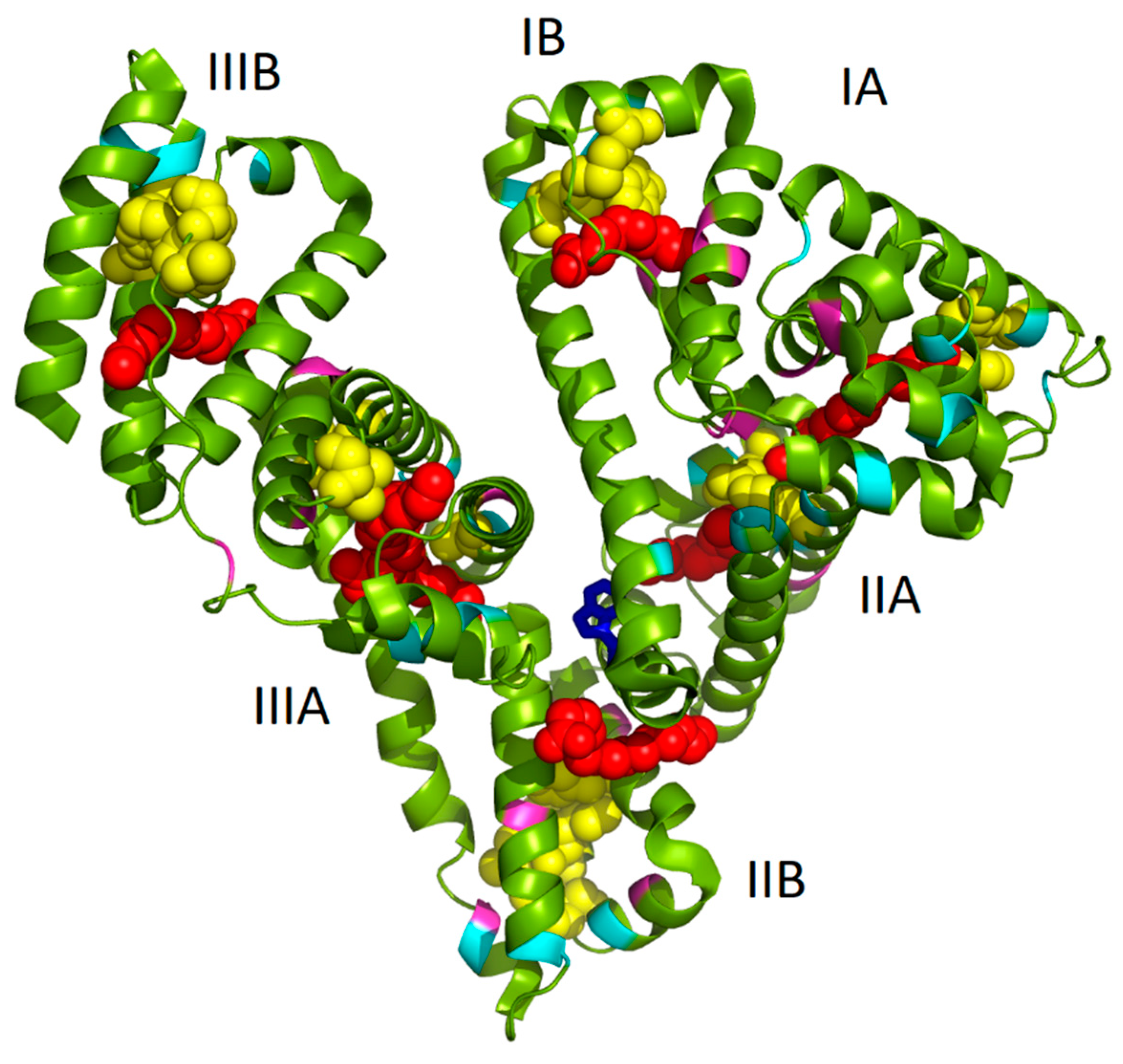 Nanomaterials 10 00343 g001