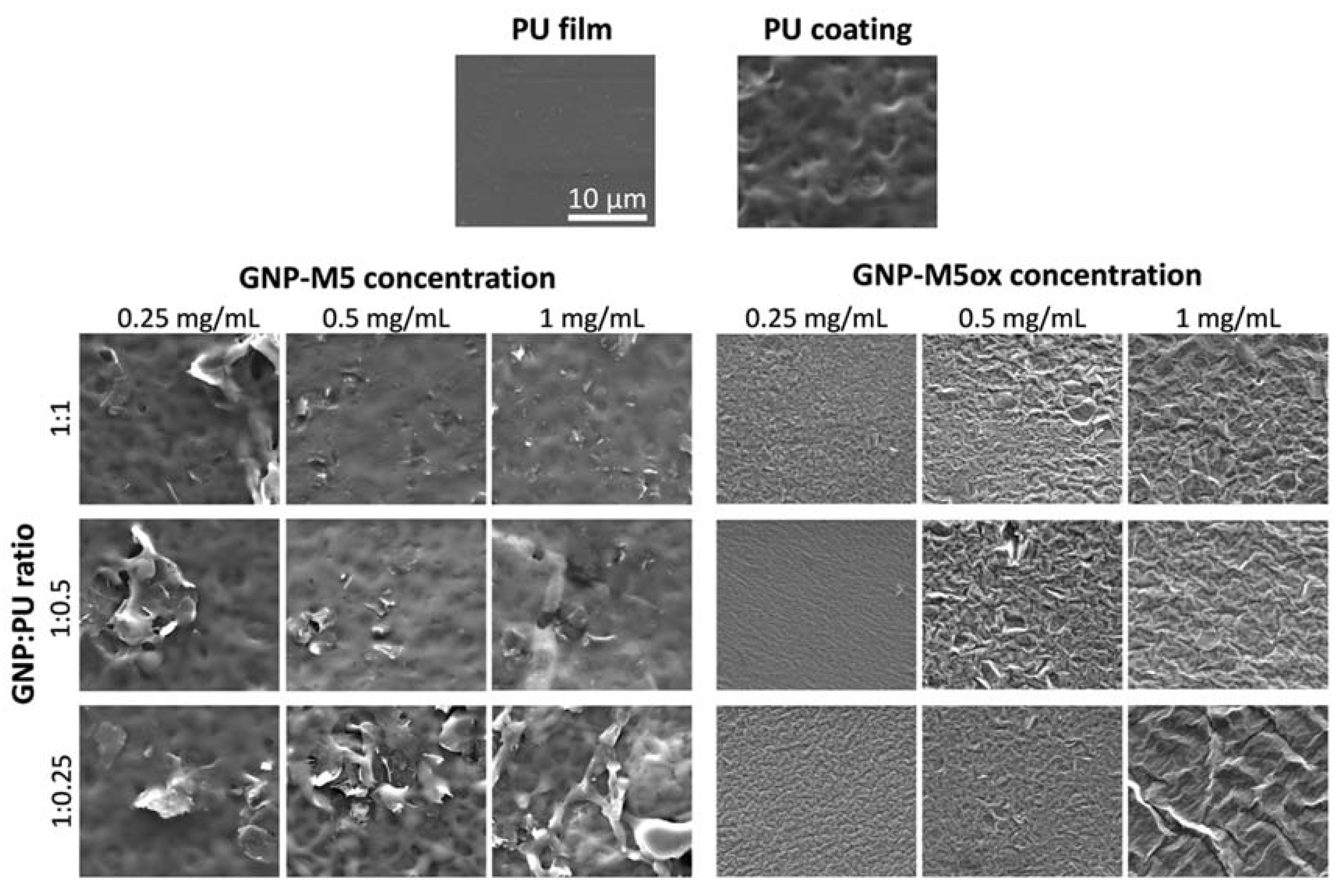 Nanomaterials 10 00349 g005a Nanomaterials 10 00349 g005a