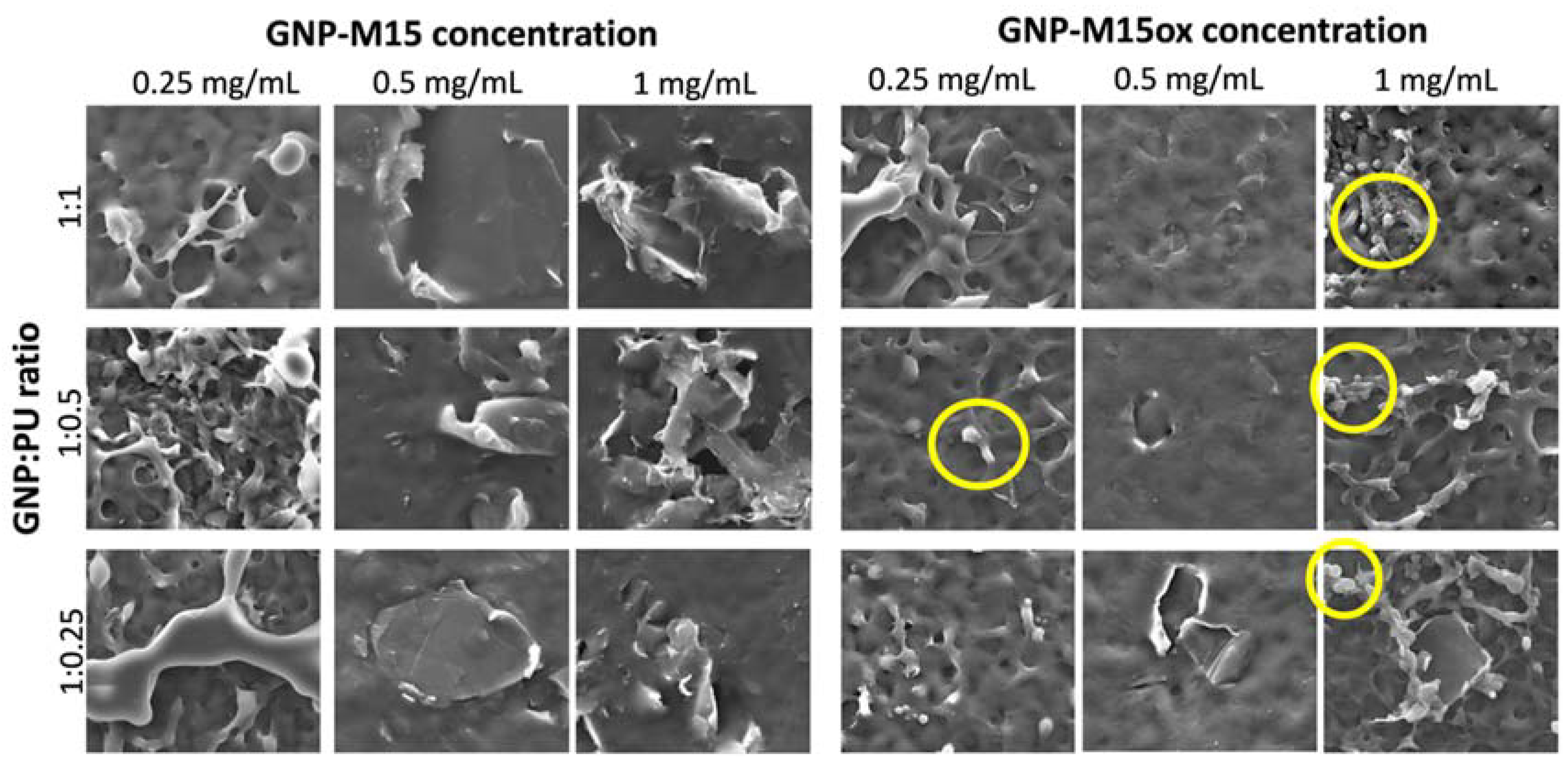 Nanomaterials 10 00349 g005b Nanomaterials 10 00349 g005b