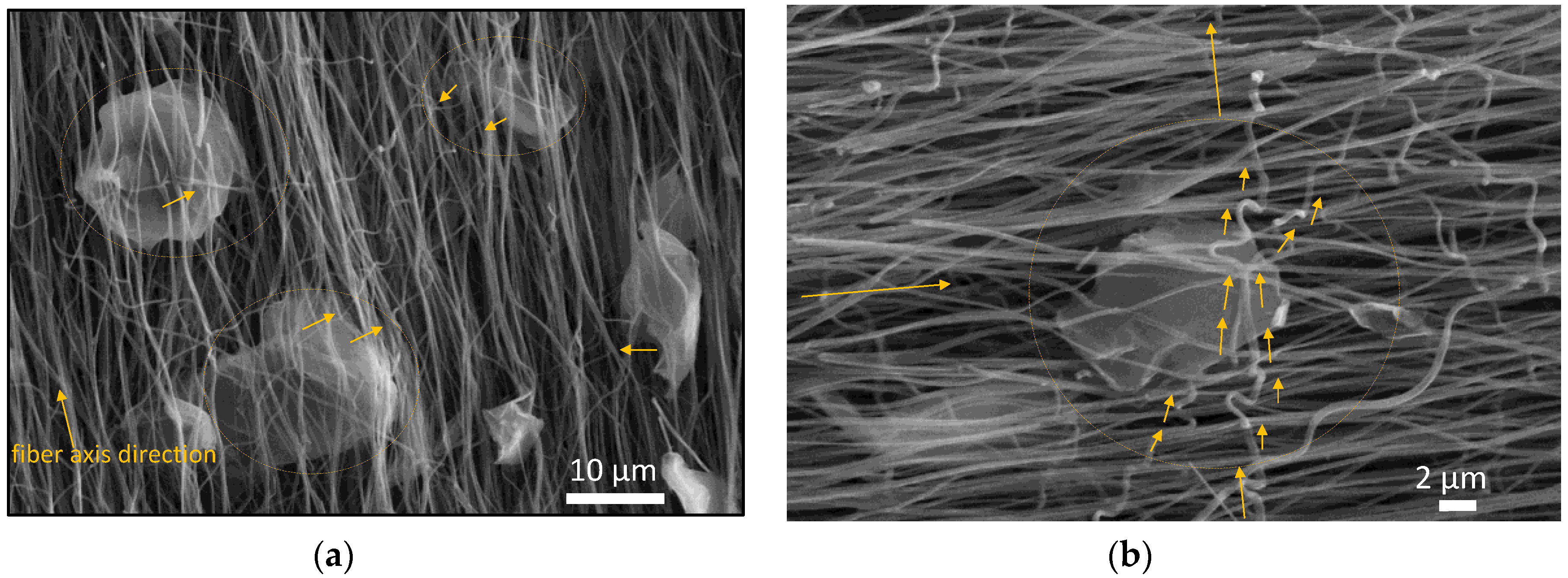 Nanomaterials 10 00351 g008 Nanomaterials 10 00351 g008