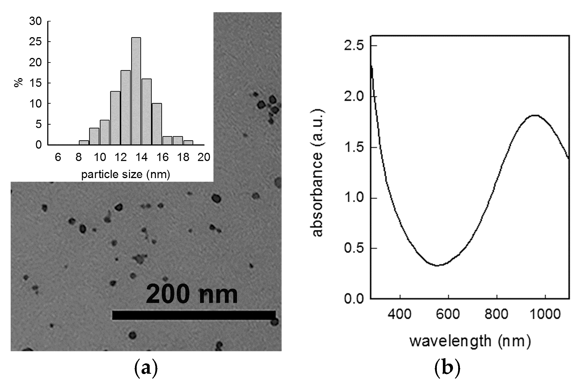 Nanomaterials 10 00352 g001